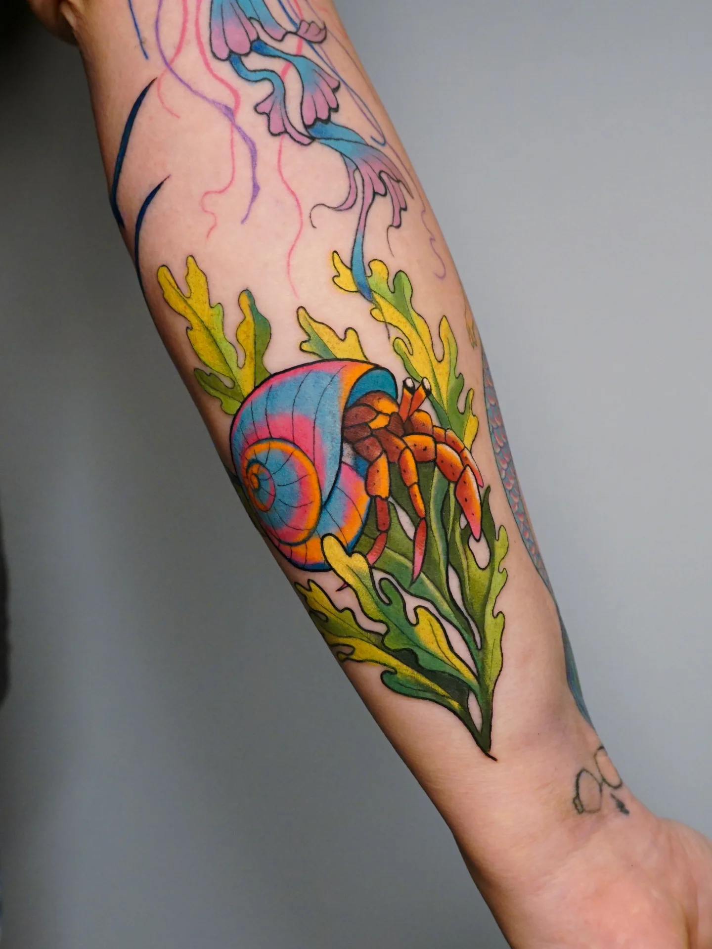 Hermit crab in shell new school tattoo on the forearm by kylie, San Antonio, Texas