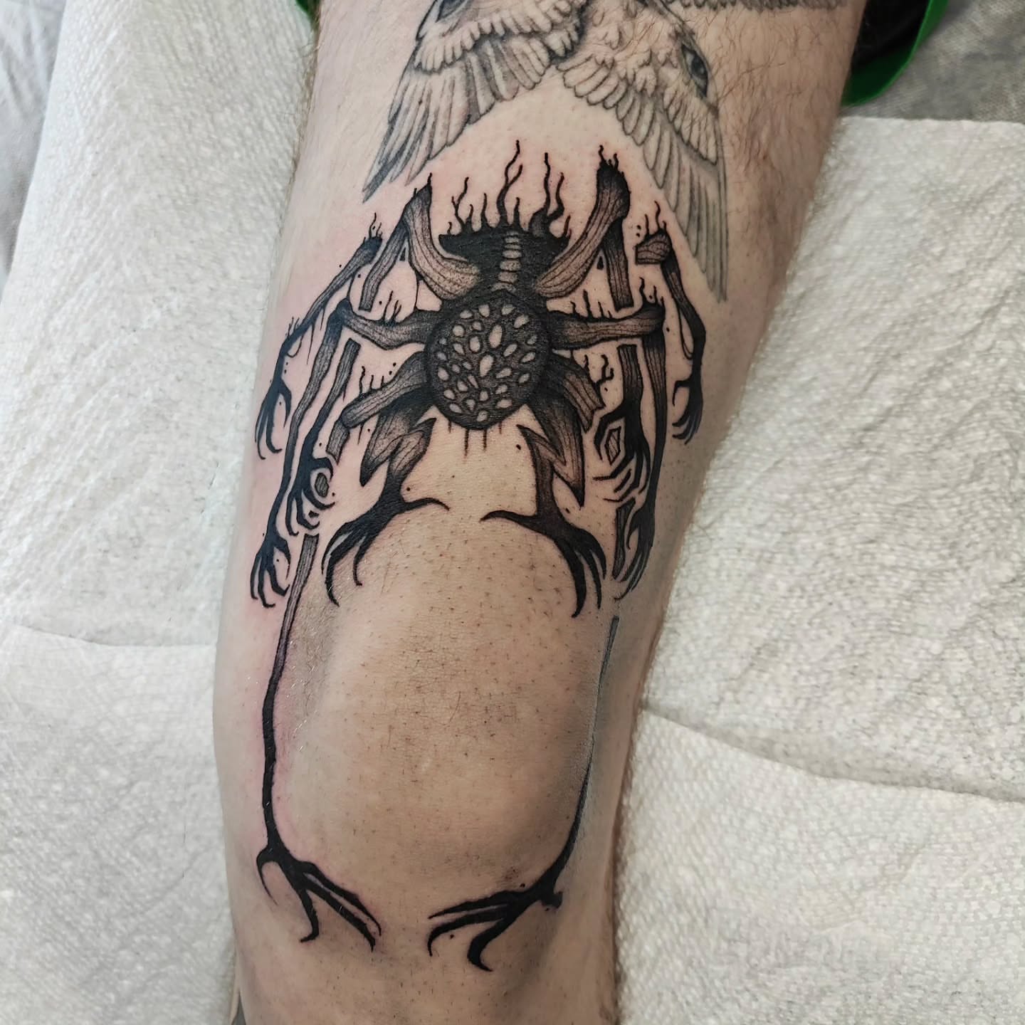 Scarab beetle black and grey tattoo on the forearm by Meg
