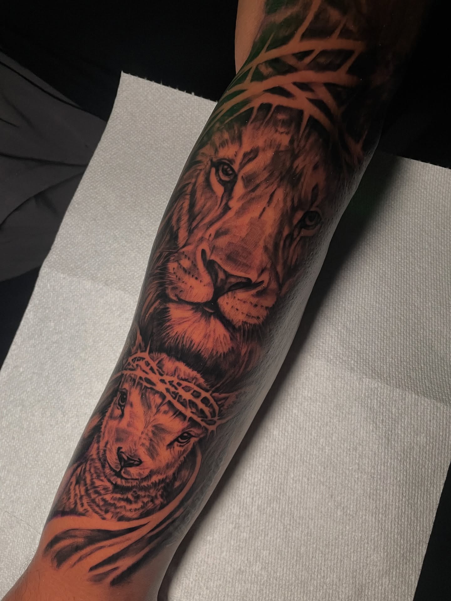 Lion and lamb realism tattoo on the forearm by Tattoo Artist