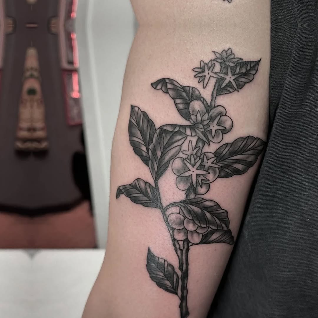 Coffee plant branch dotwork tattoo on the forearm by Jaleel Trantow