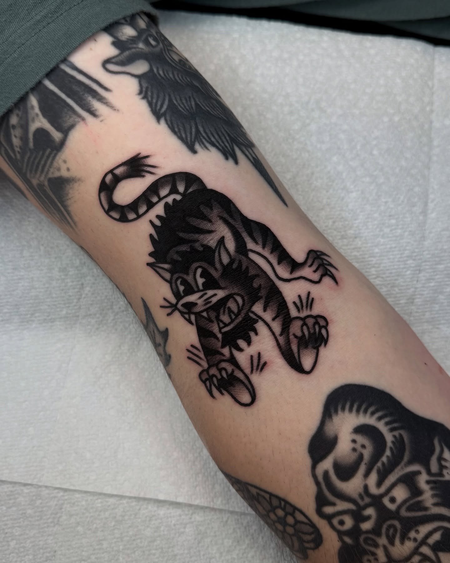 Wolf American traditional tattoo on the forearm by Zachary - Traditional Tattoo Artist