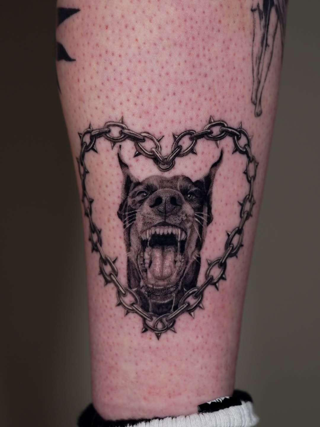 Dog head in spiked heart chain realism tattoo on the forearm by Brisia Cisneros