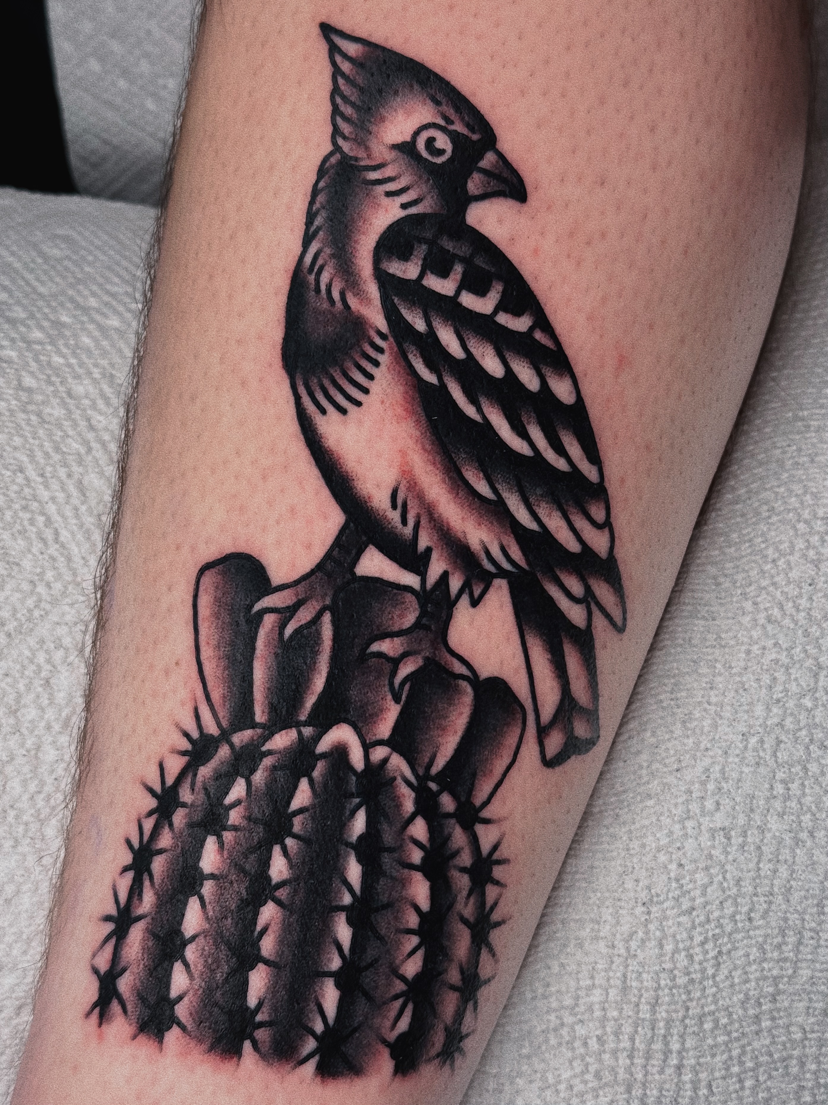 Cardinal bird American traditional tattoo on the forearm by Sean Michel, Nashua, New Hampshire