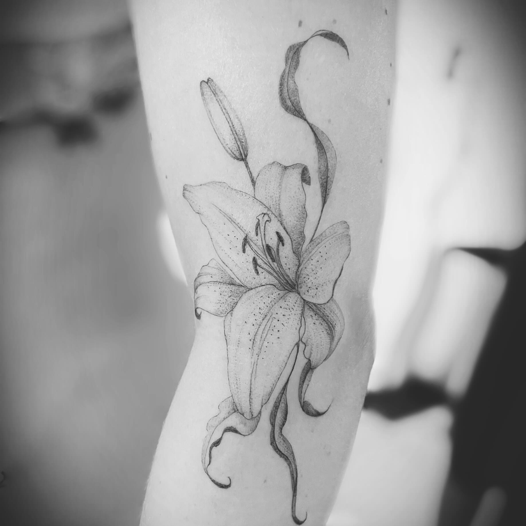 Tattoo by @aquanoir — dotwork