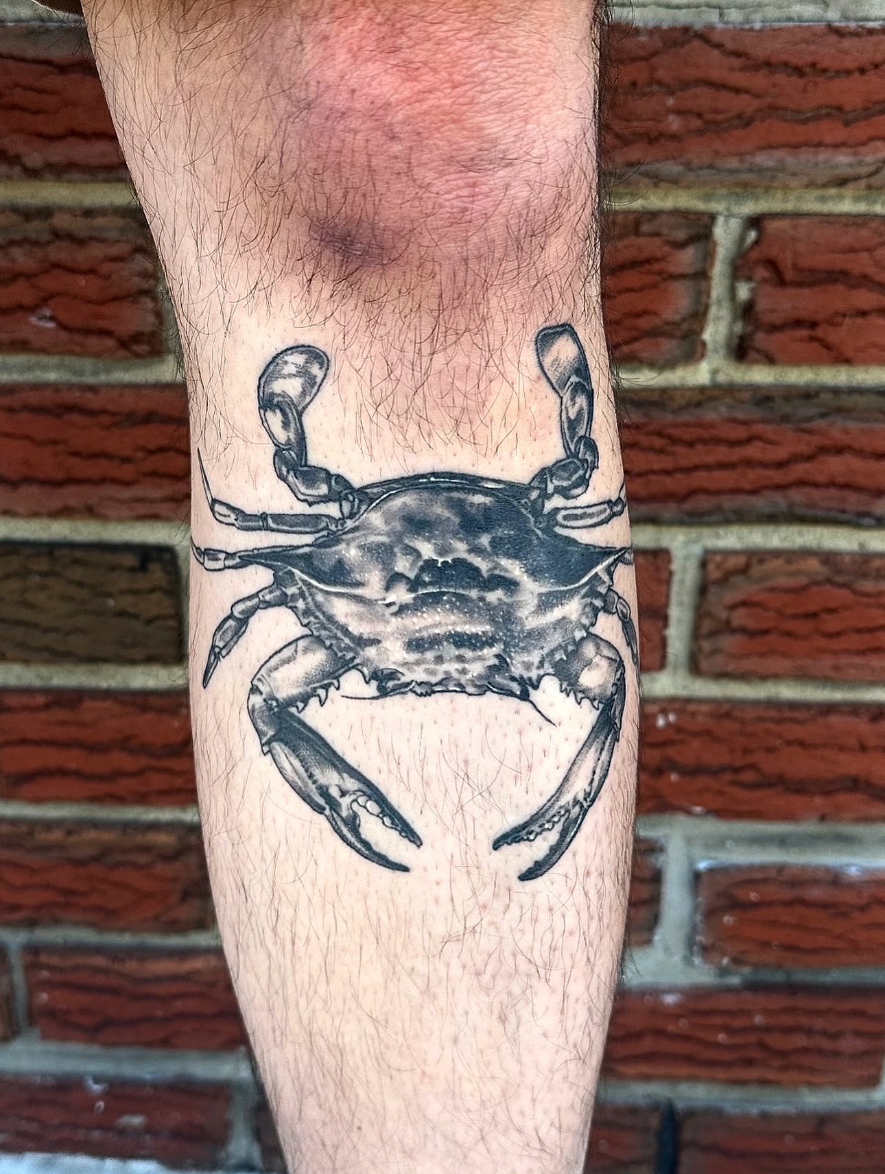 Tattoo by @bogwitchtattoos โ black_and_grey