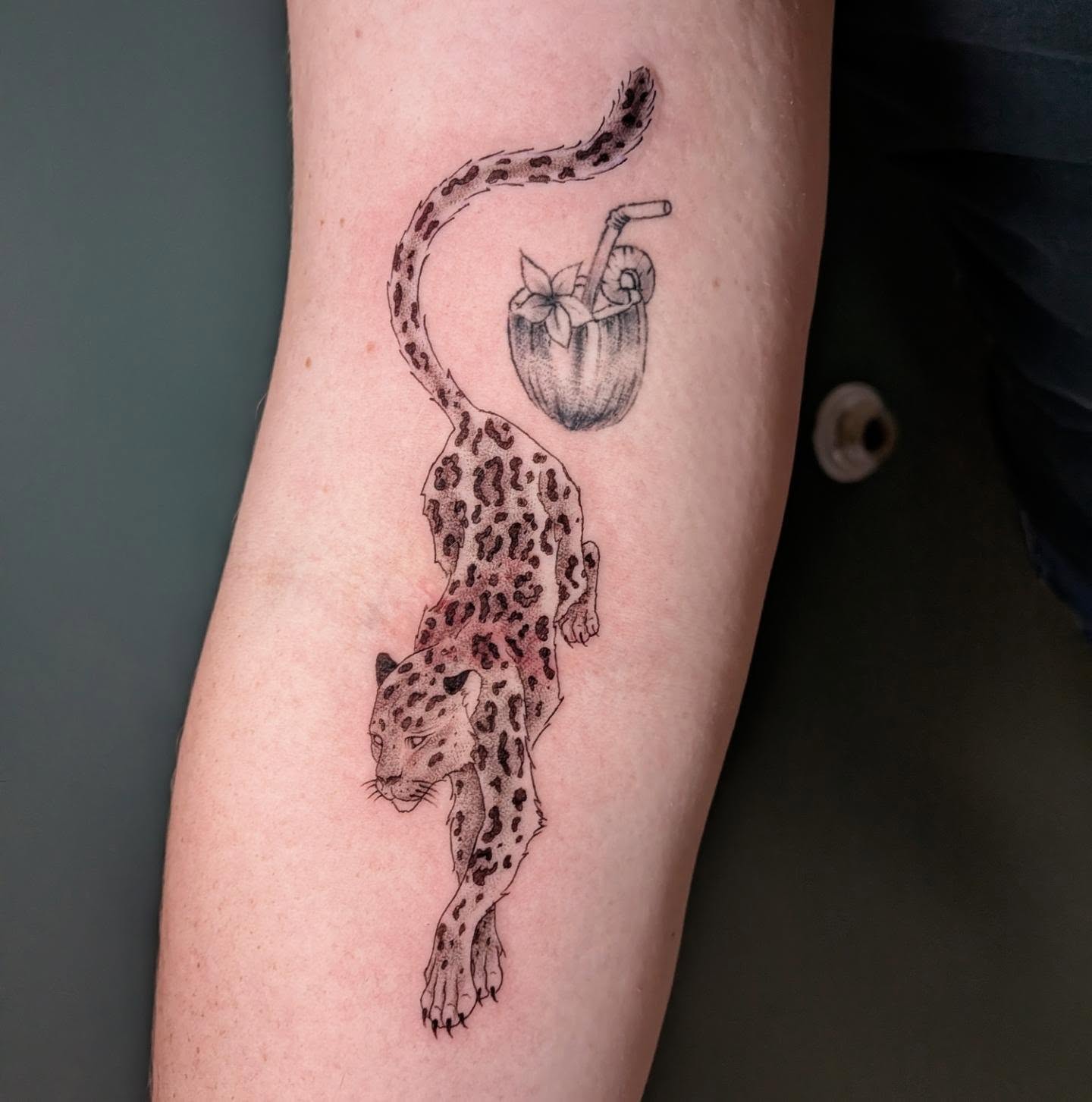 Leopard and coconut realism tattoo on the forearm by L U C y, Knoxville, Tennessee