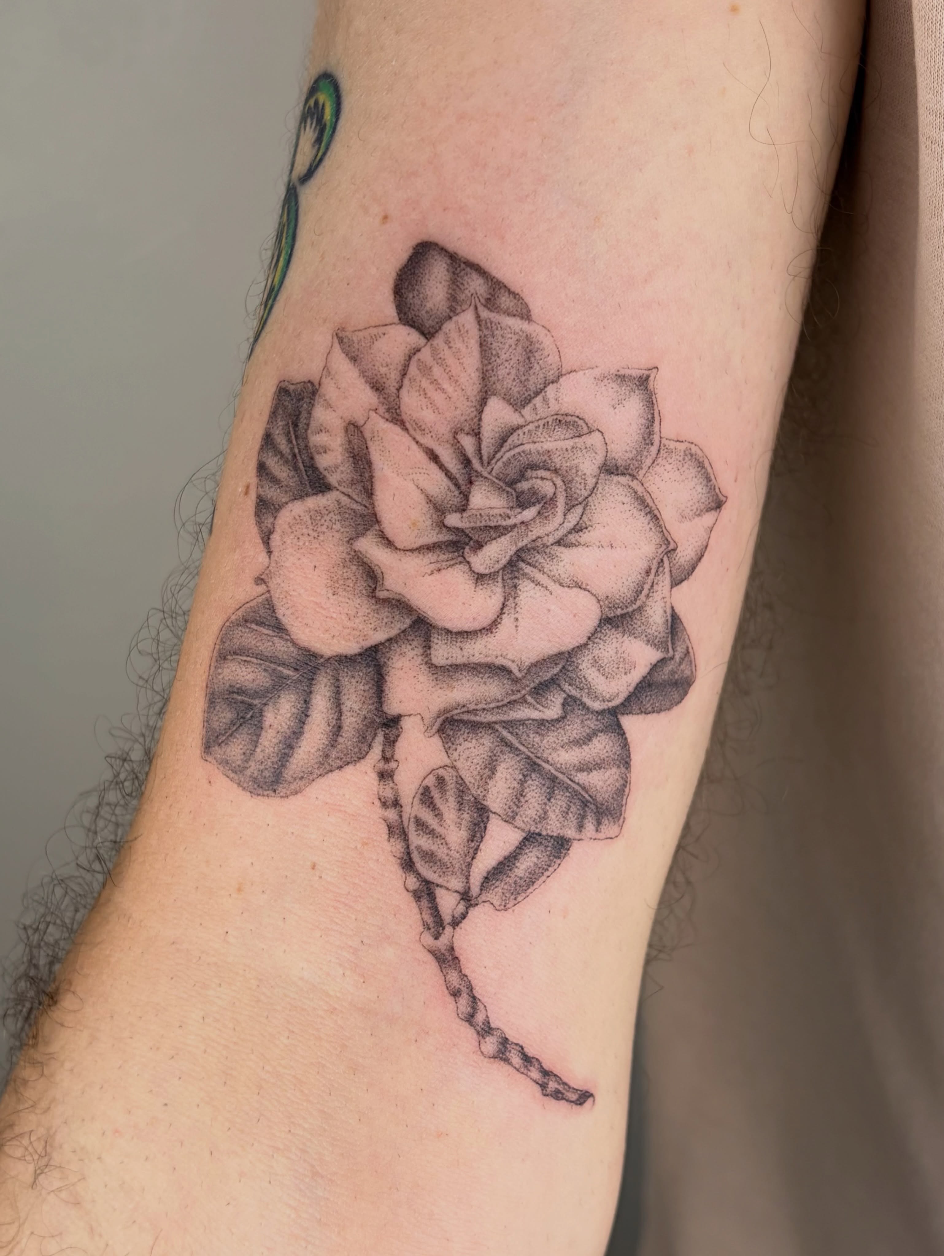 Flower dotwork tattoo on the forearm by ๐ป๐๐๐๐๐๐๐ โงห*ยฐเฟ