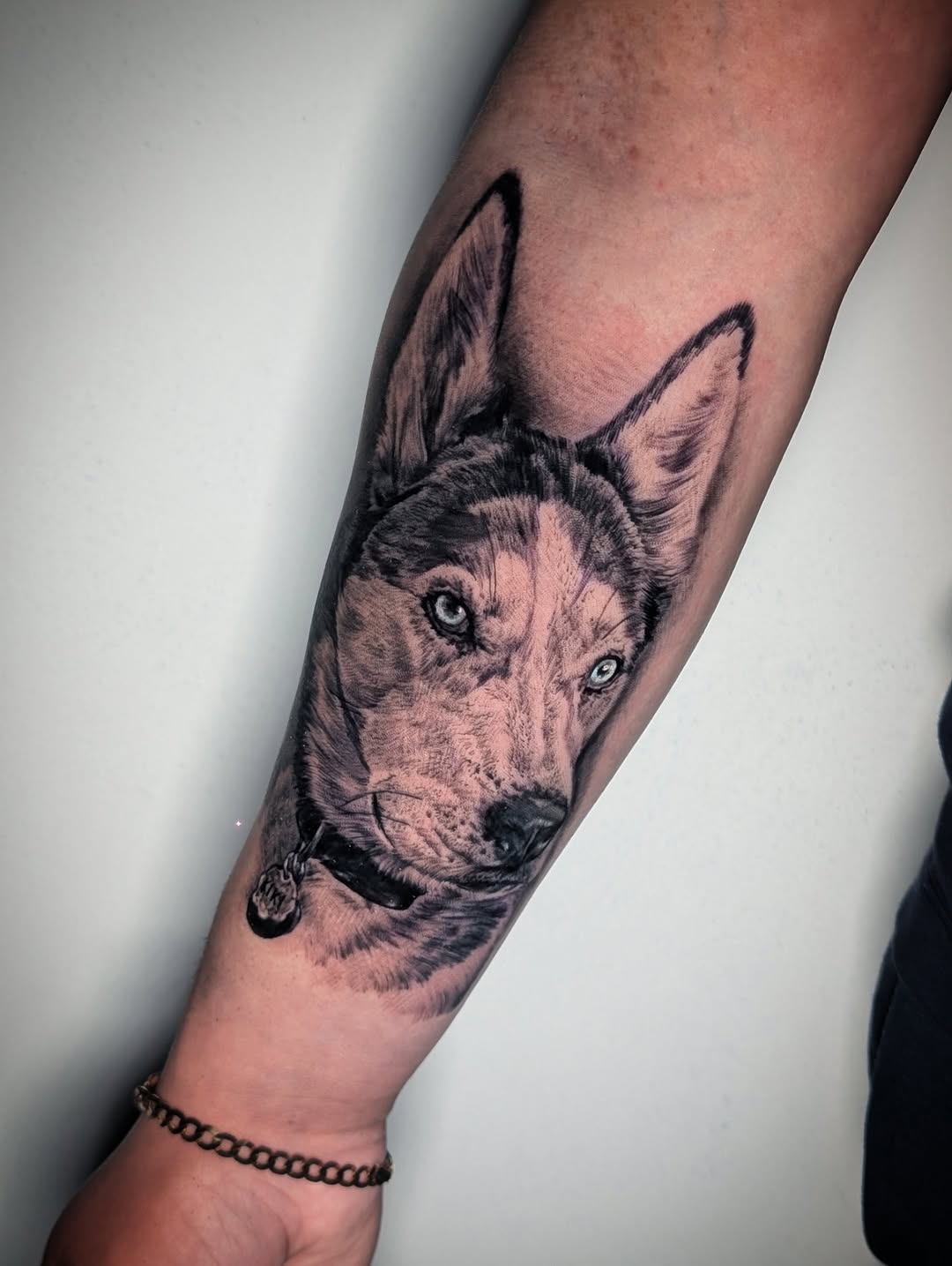 Dog portrait realism tattoo on the forearm by Will Alexander, Lombard, Illinois