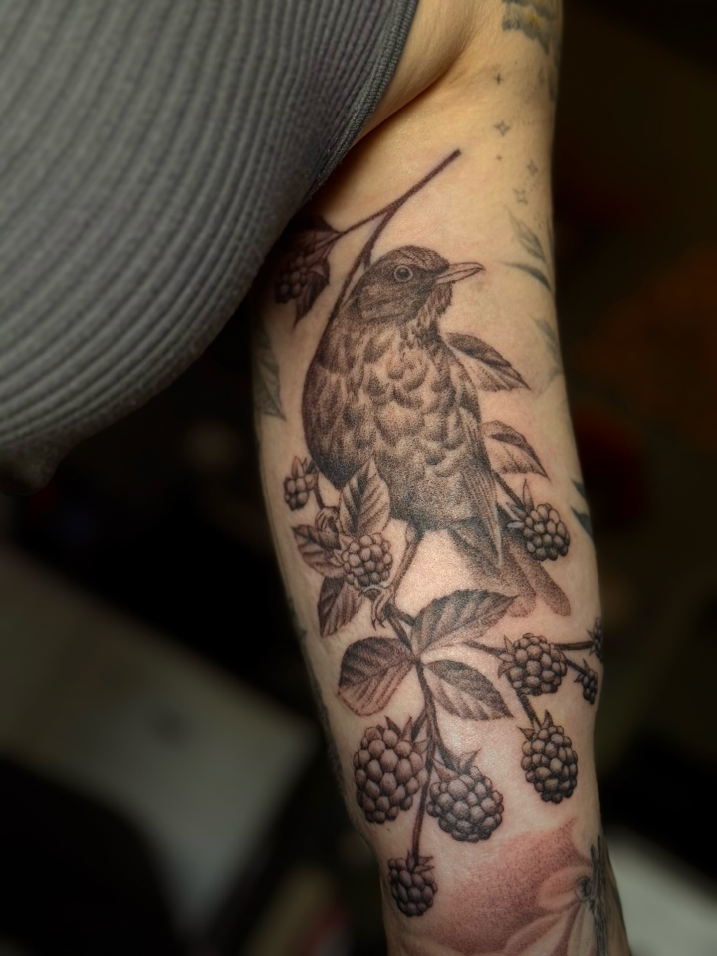 Bird and berries realism tattoo on the forearm by Alyssa Fazzino ⟡ CT Tattoo Artist, Rocky Hill, Connecticut