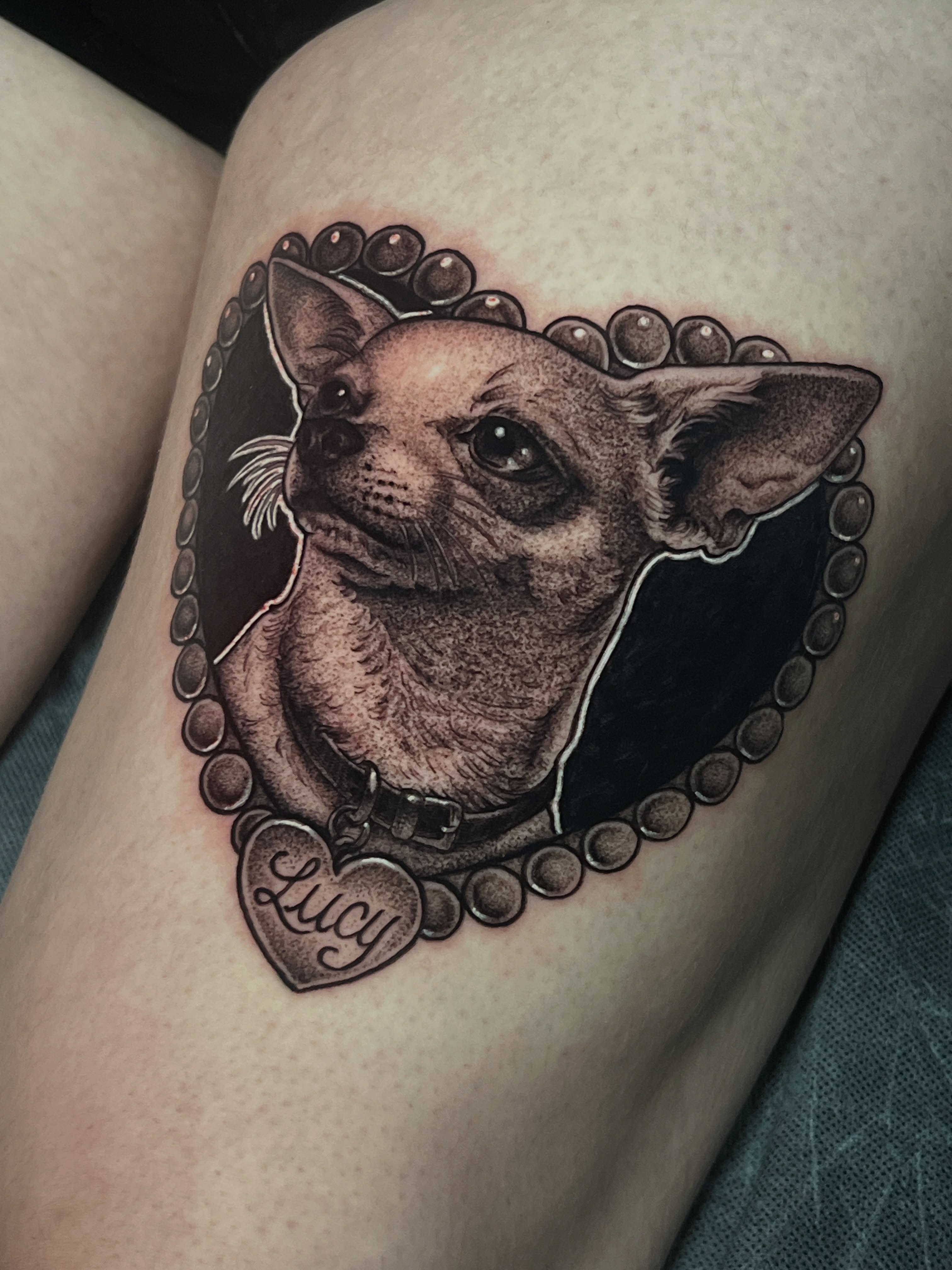 Chihuahua portrait realism tattoo on the thigh by πΊπππππ π»πππππππ