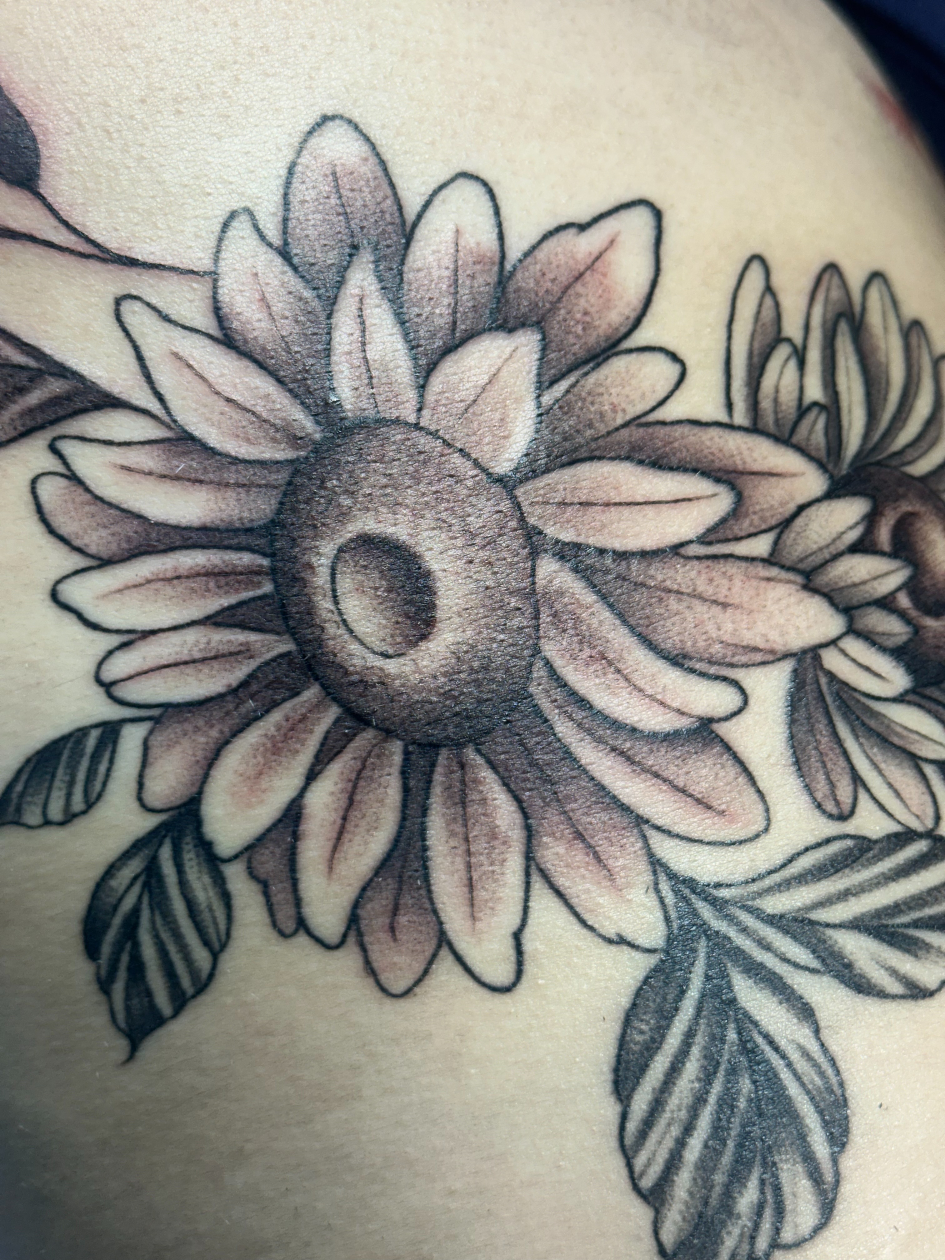 Chrysanthemum black and grey tattoo on the shoulder by 🥀Chloe Miller