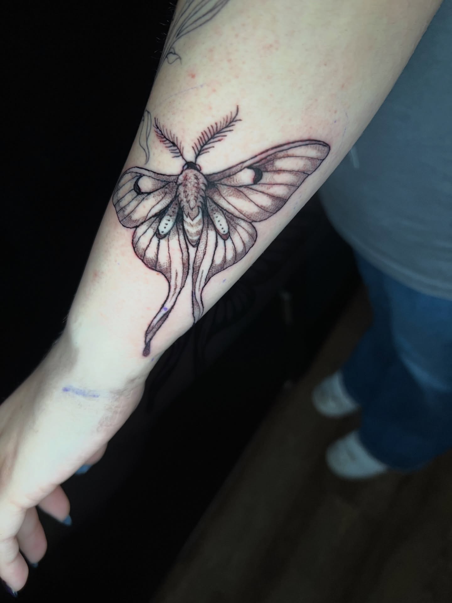 Moth black and grey tattoo on the forearm by Evan Intveld