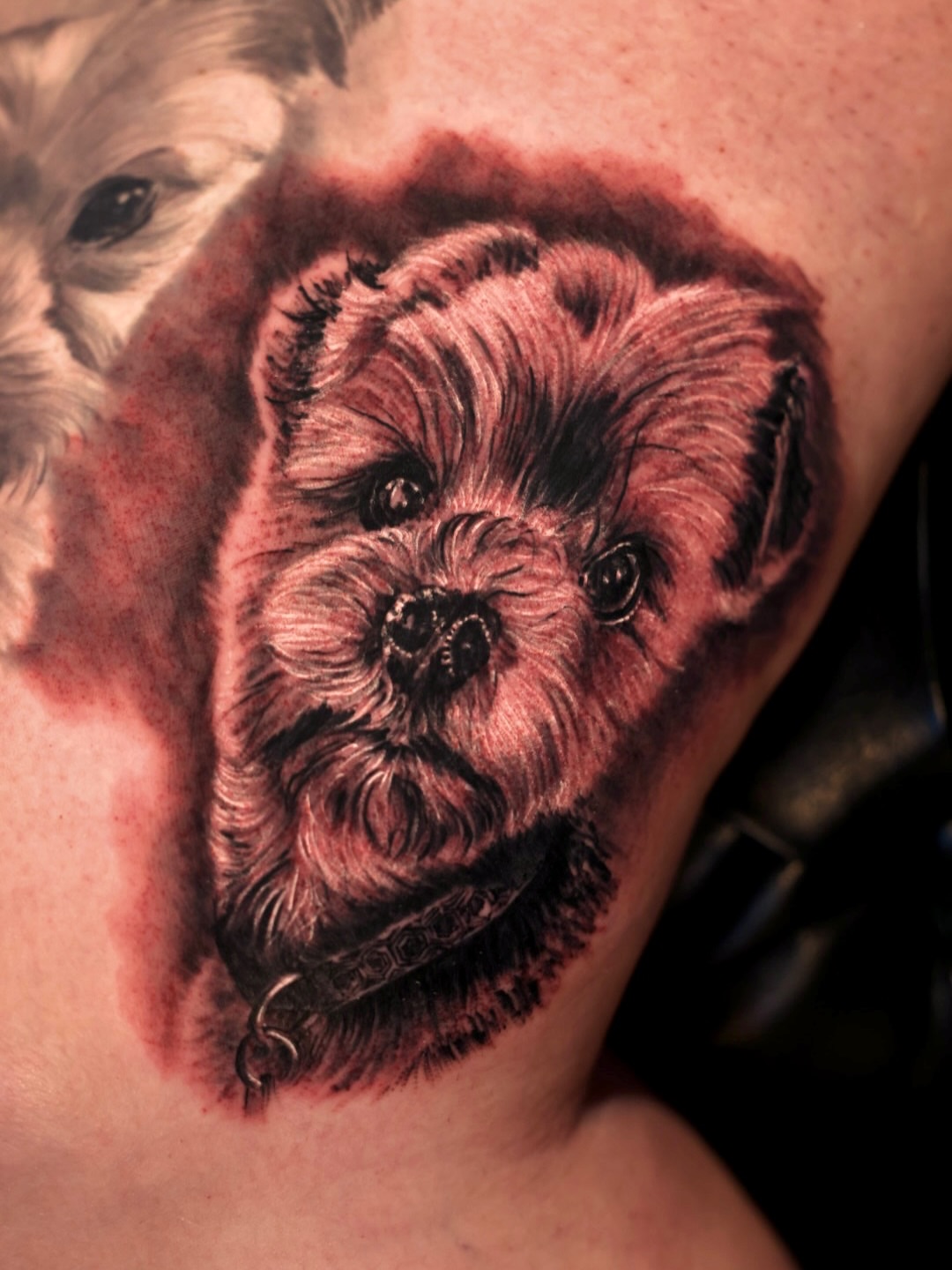 Dog realism tattoo on the shoulder by Brandon Sontag