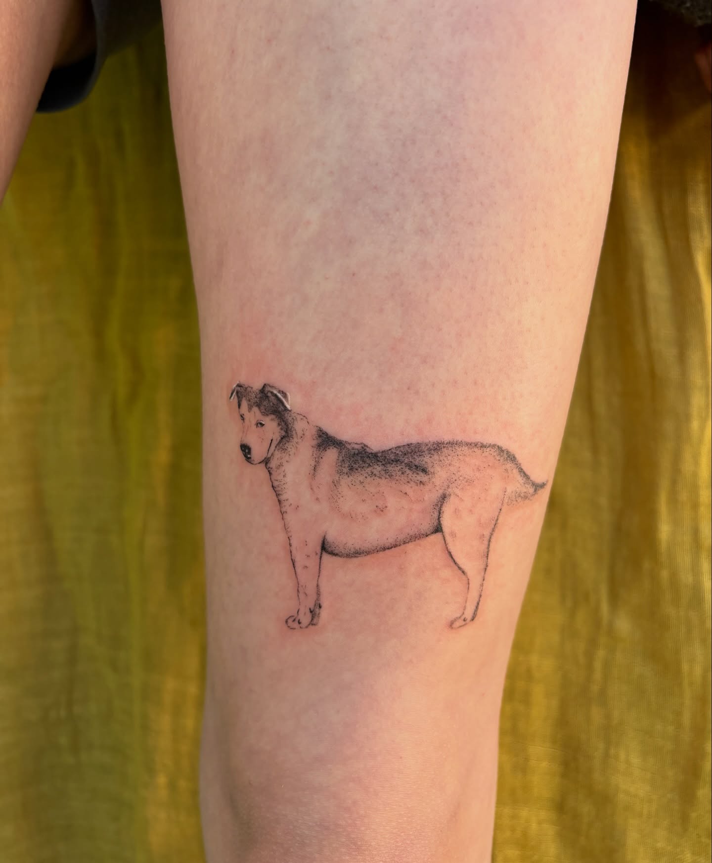 Dog dotwork tattoo on the forearm by carla sofia