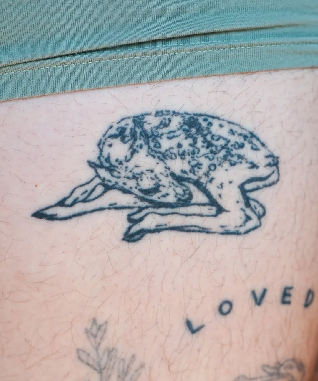 Fawn fine line tattoo on the thigh by Willow ~ Fade Into You Tatu