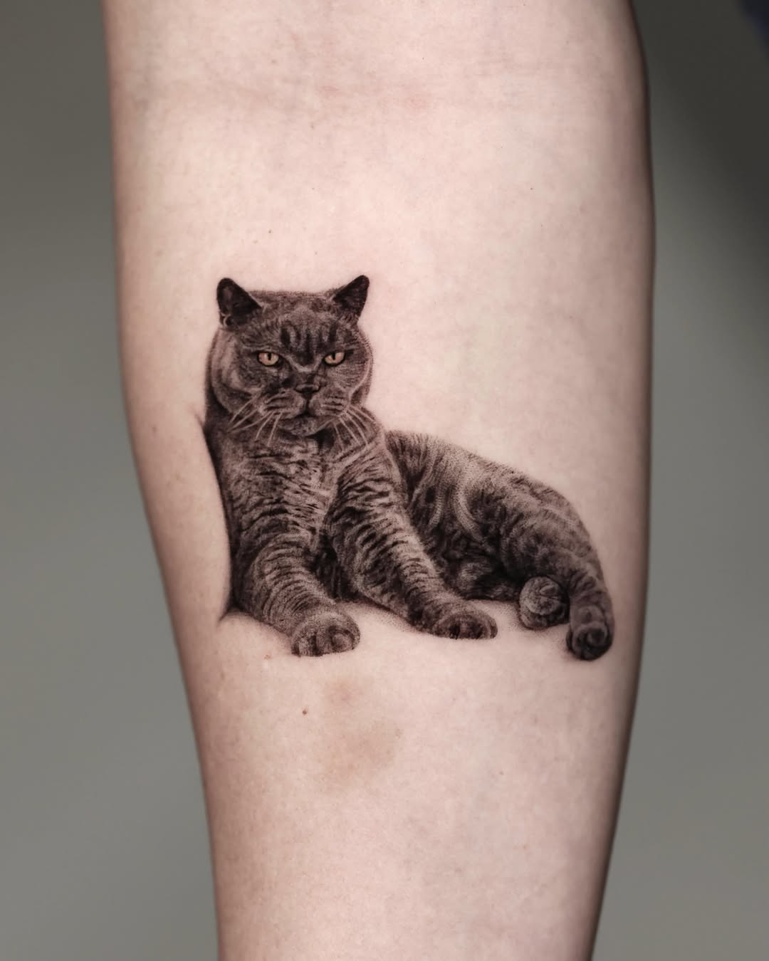 Cat portrait realism tattoo on the forearm by LA Tattoo Yeono
