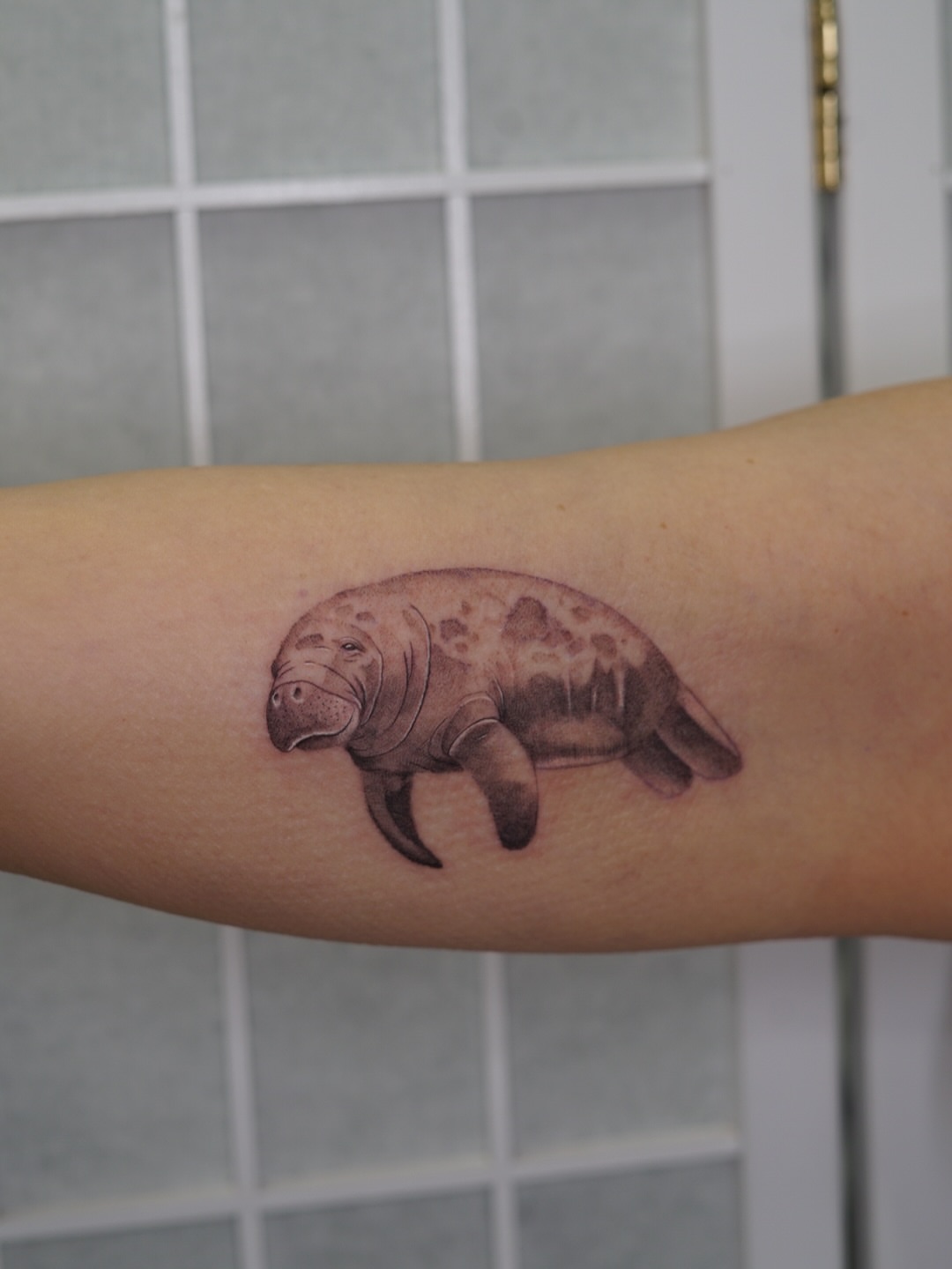Manatee realism tattoo on the forearm by Josh Infante