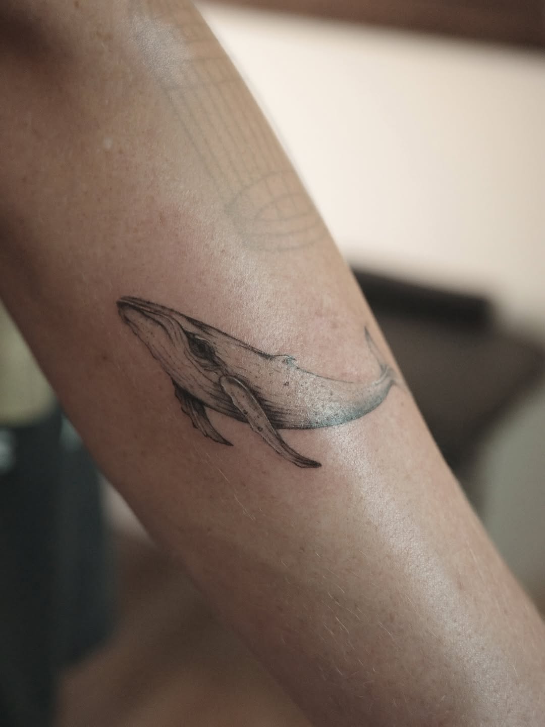 Humpback whale fine line tattoo on the forearm by It’s ya girl, KB