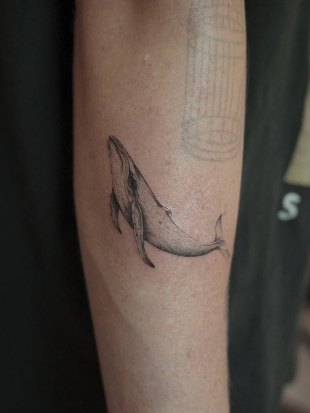 Humpback whale fine line tattoo on the forearm by It’s ya girl, KB