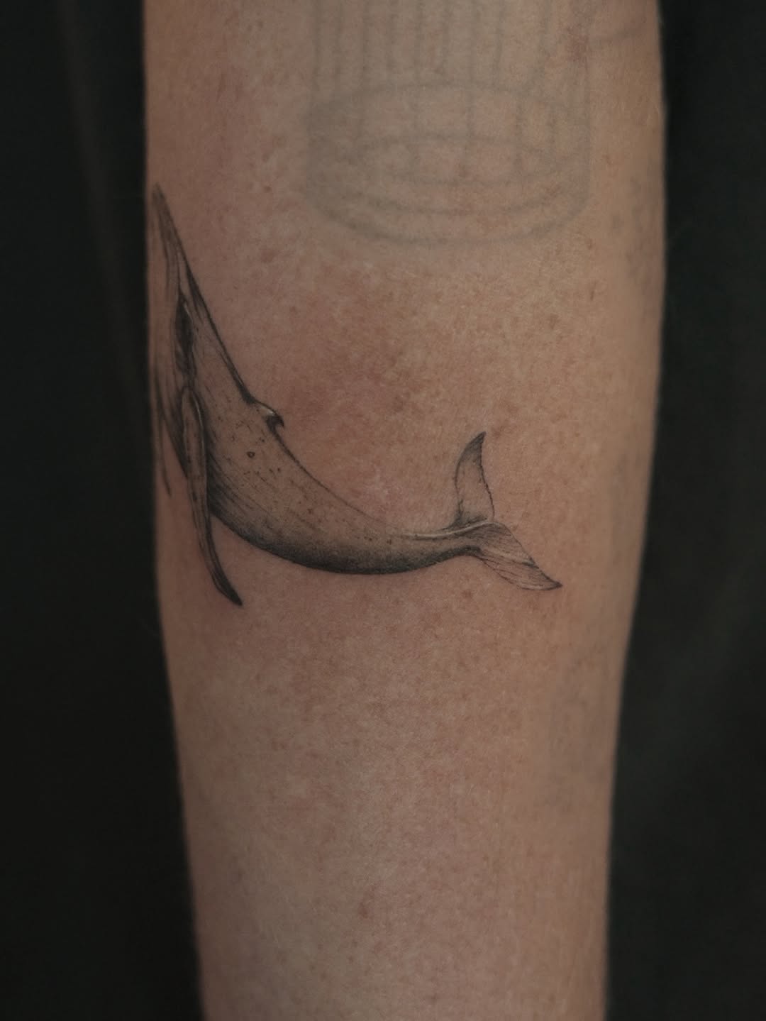 Whale fine line tattoo on the forearm by It’s ya girl, KB