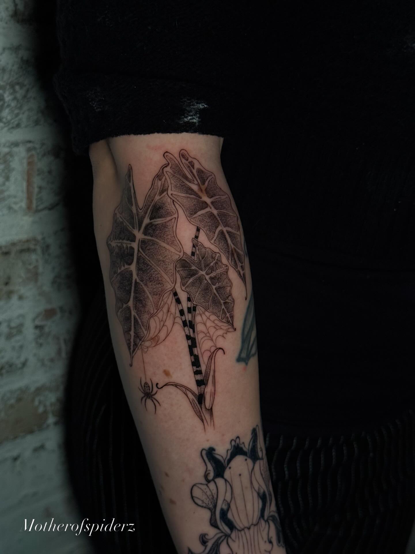 Elephant ear leaves and spider realism tattoo on the forearm by Alyssa Garza