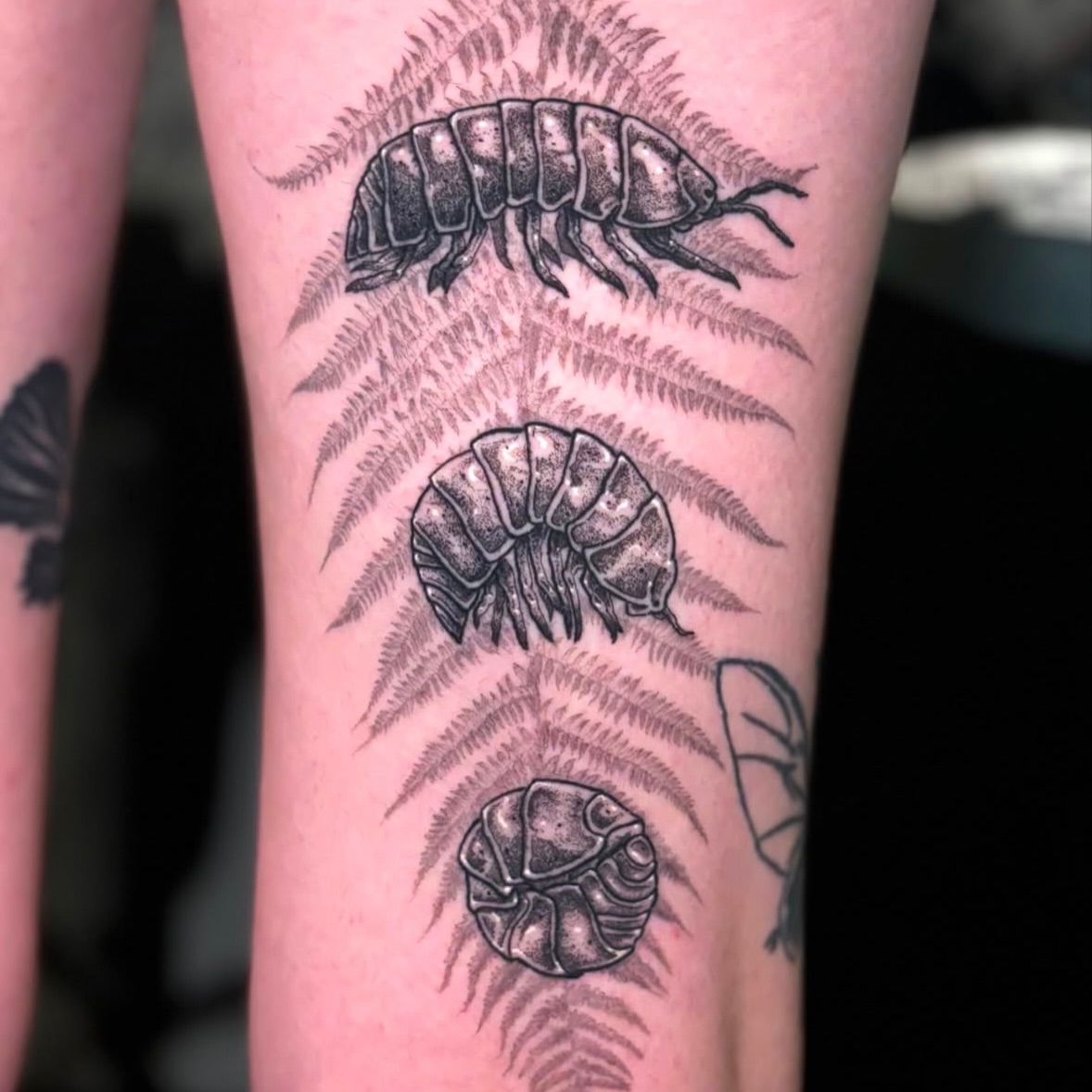 Tattoo by @eujeanmean — black_and_grey