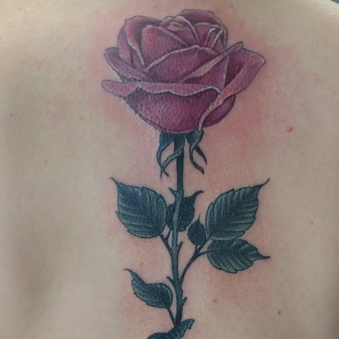 Rose realism tattoo on the shoulder by Ashton Allen-Ruiz, Portland, Oregon
