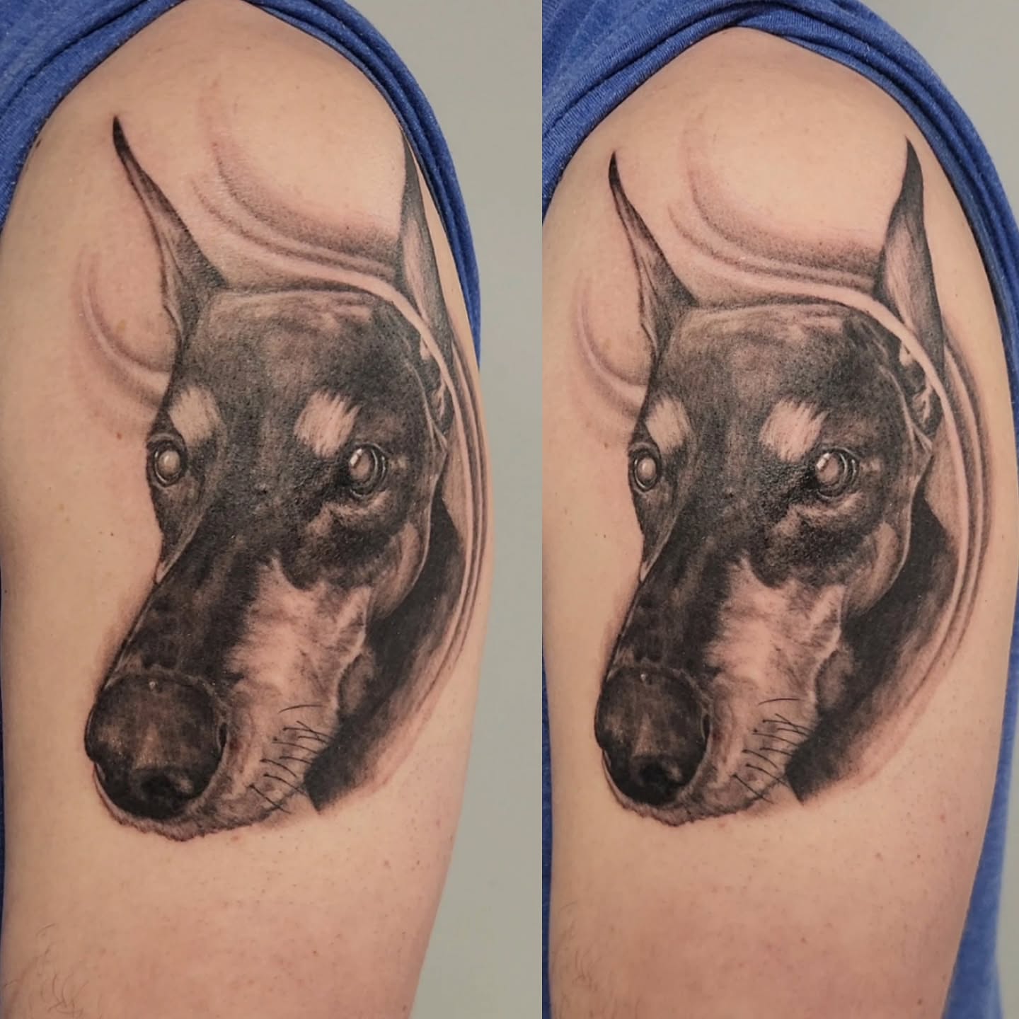 Dog realism tattoo on the shoulder by Jason August