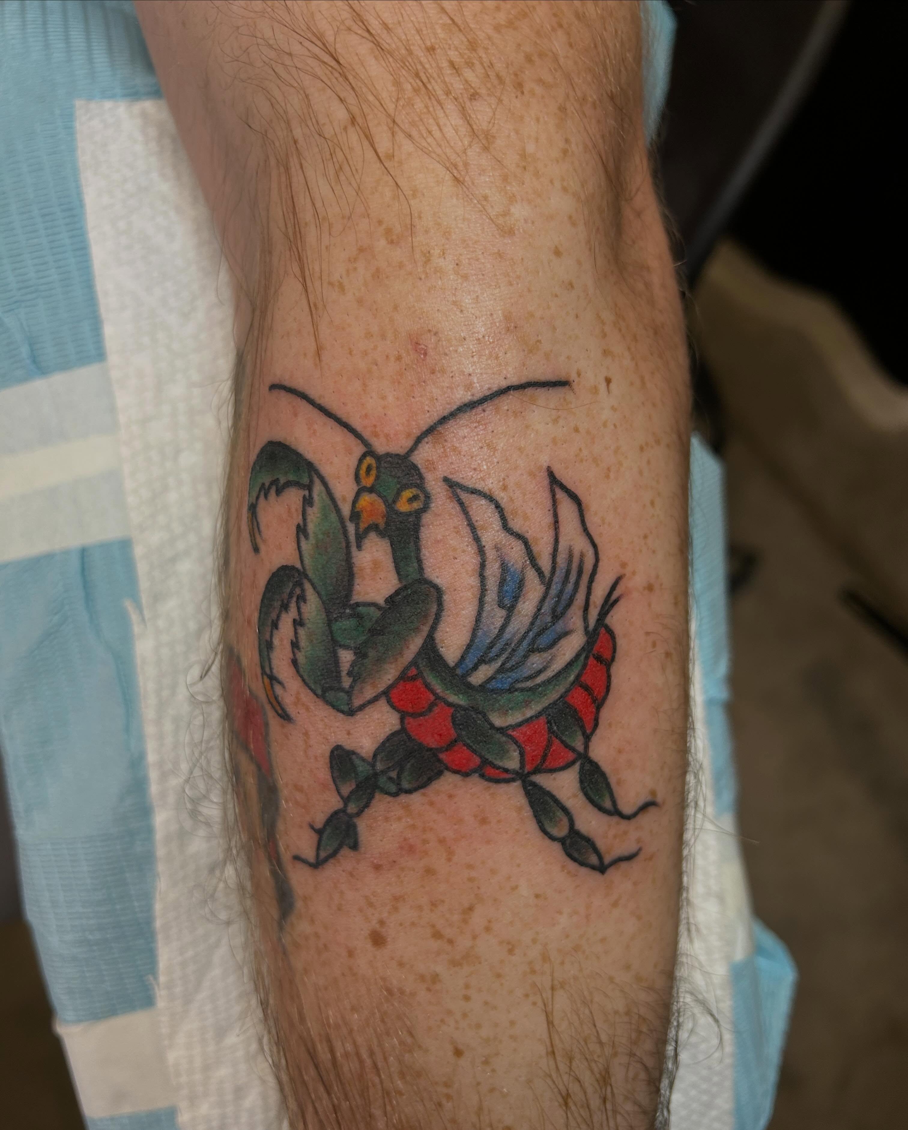 Insect American traditional tattoo on the forearm by Casey Lewis - Tattoo Artist, Cleveland Ohio