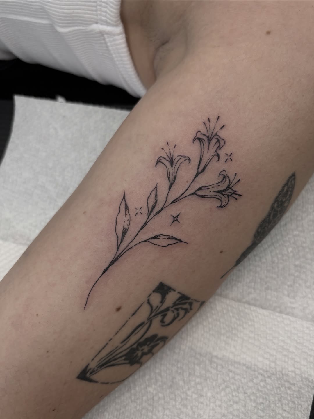 Tattoo by @harleetattoos — fine_line