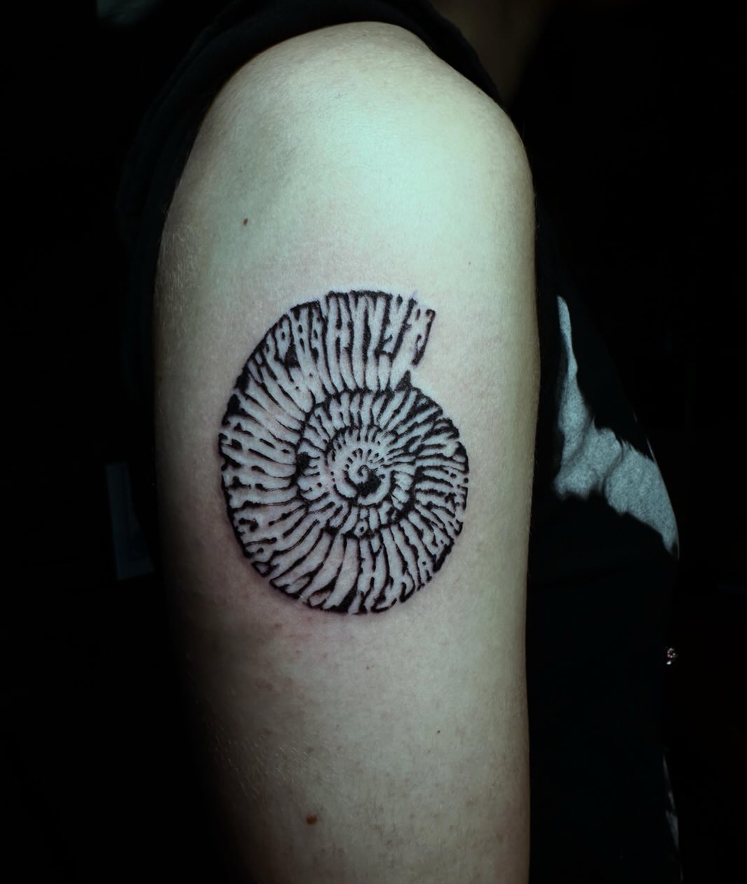 Ammonite fossil geometric tattoo on the forearm by emma christine