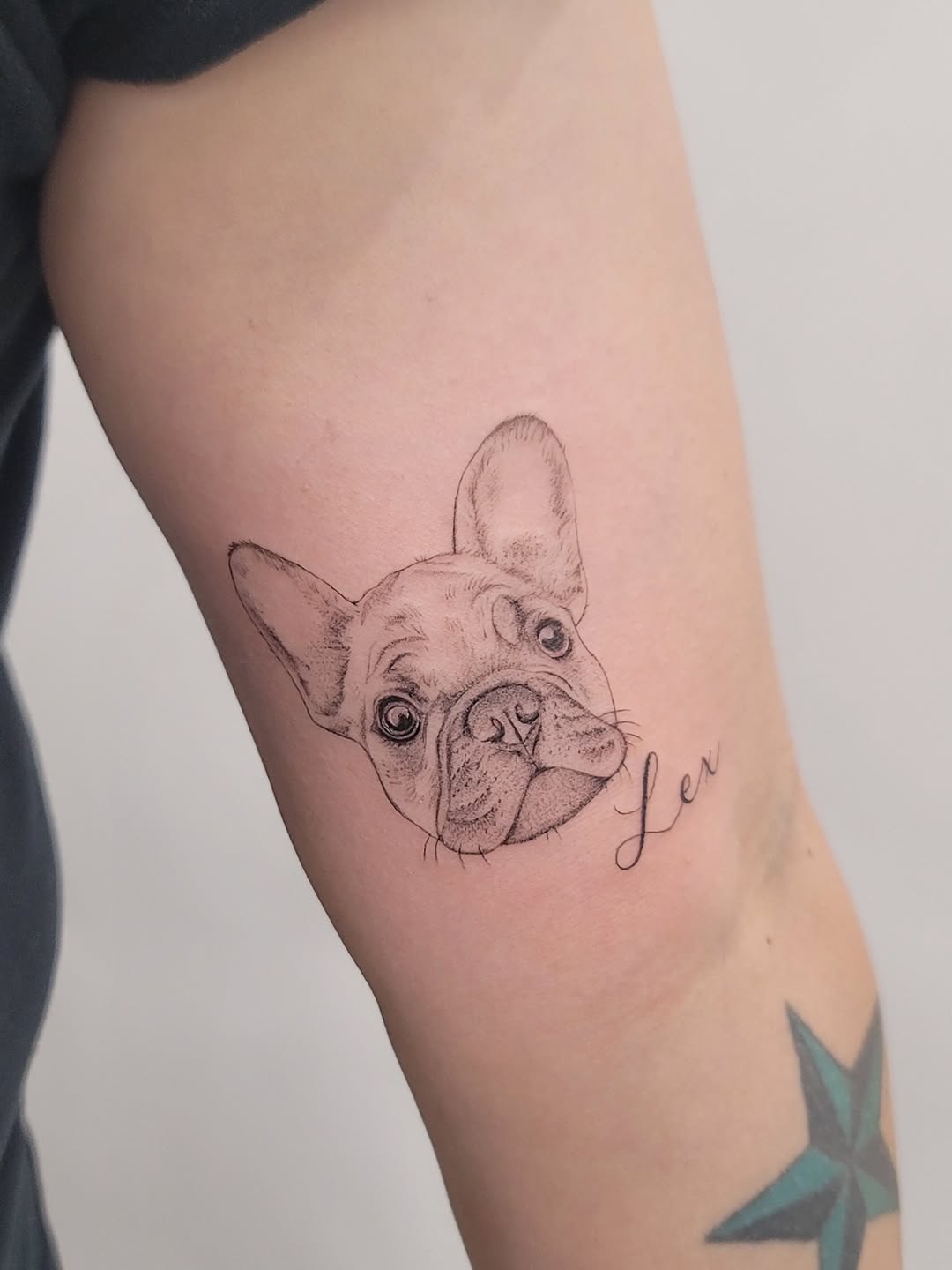 French Bulldog portrait with name realism tattoo on the forearm by Las Vegas Fine Line Tattoos