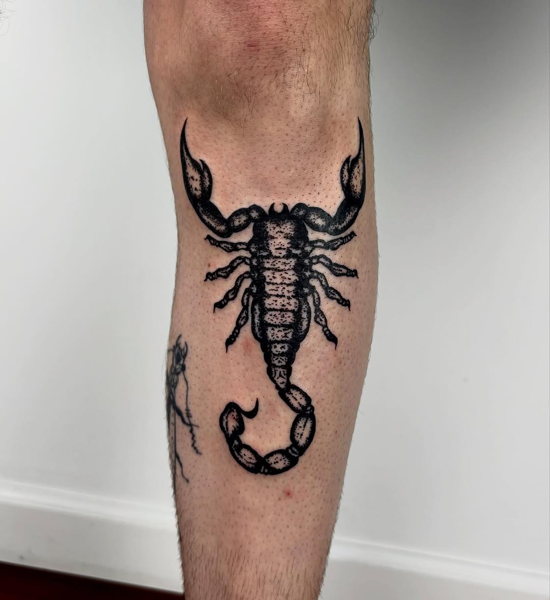 Scorpion fine line tattoo on the leg by kendle