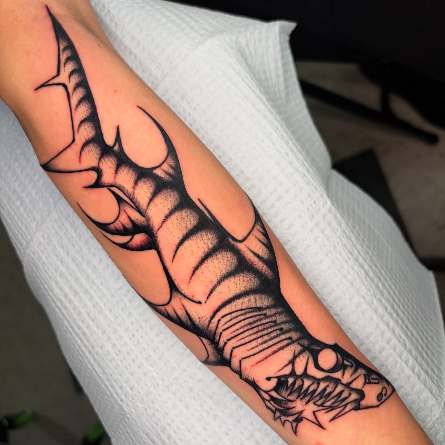 Claw American traditional tattoo on the forearm by 🌴Nick Hetzel🌴, Saint Petersburg, Florida