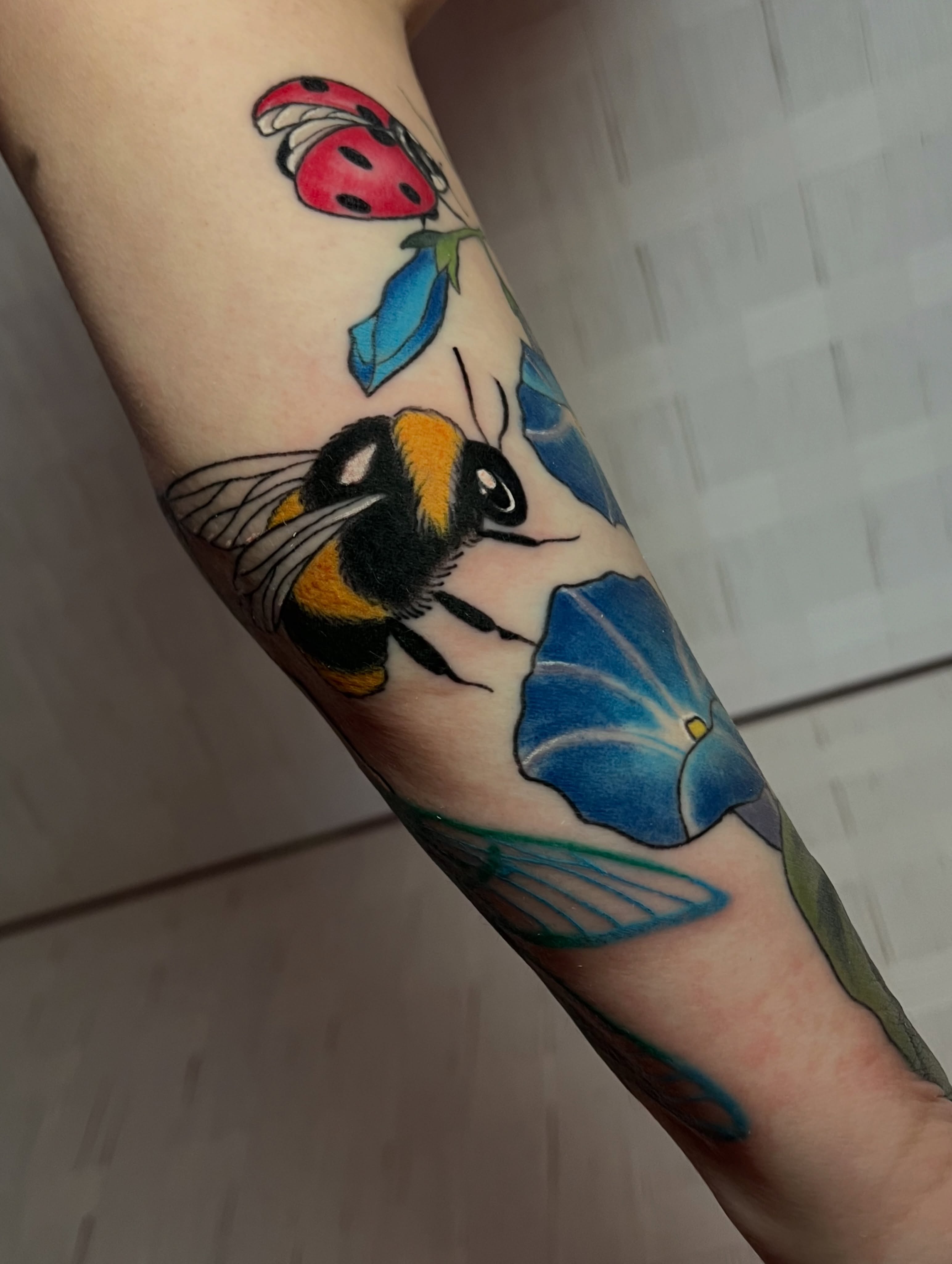 Tattoo by @laurenkelleetattoos — new_school