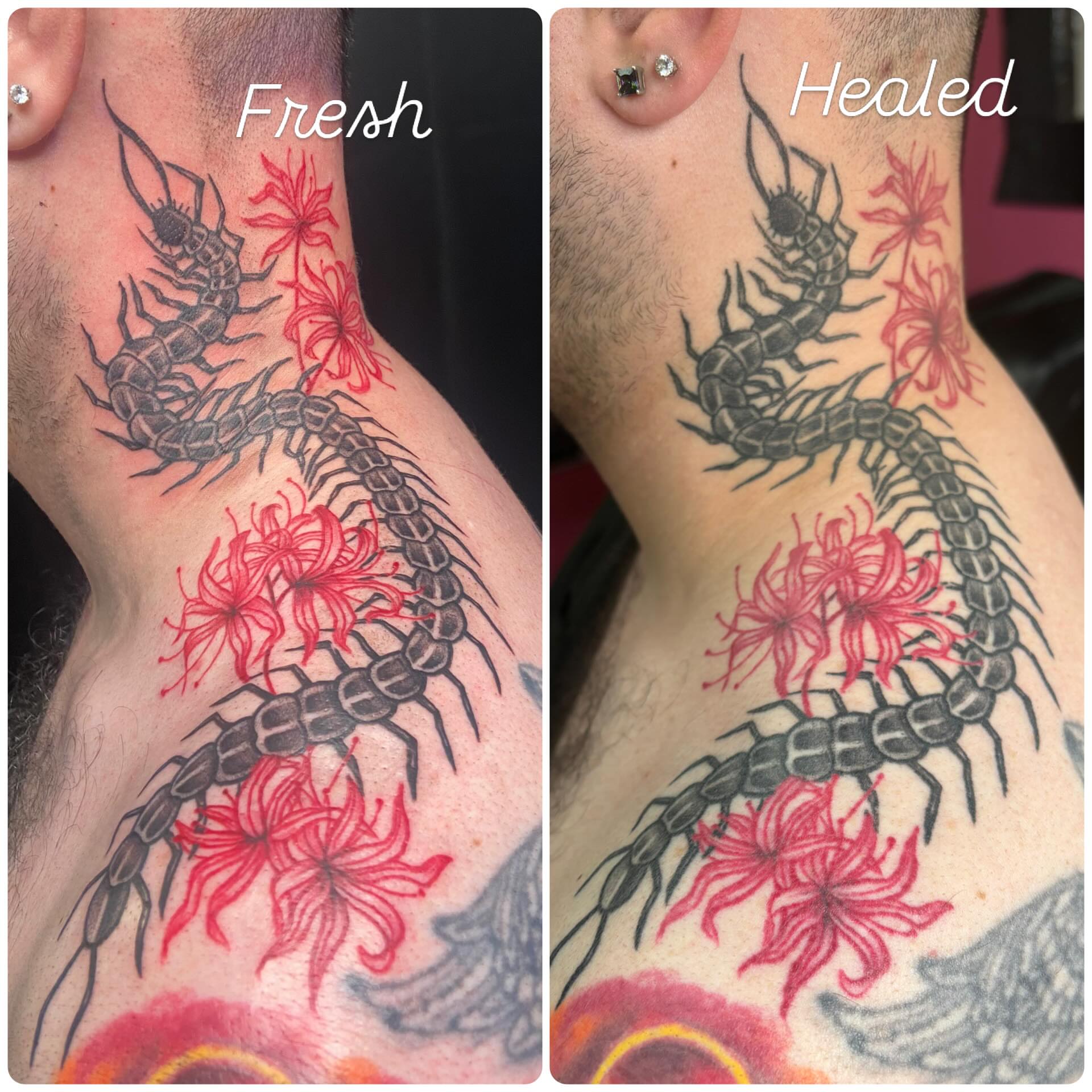 Centipede and flowers realism tattoo on the neck by ~KR¥$~