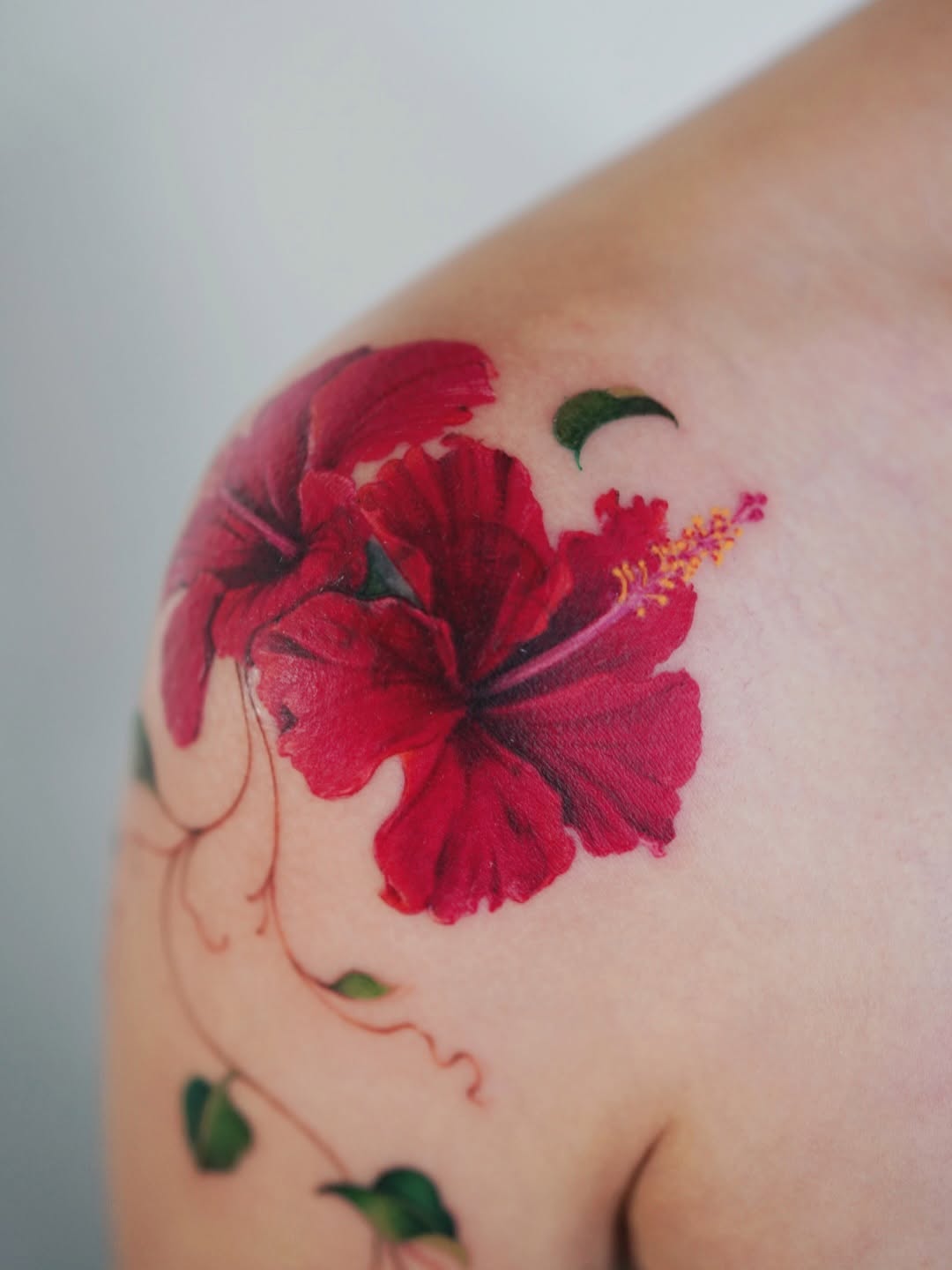 Hibiscus flowers neo-traditional tattoo on the shoulder by Lily, Los Angeles, California