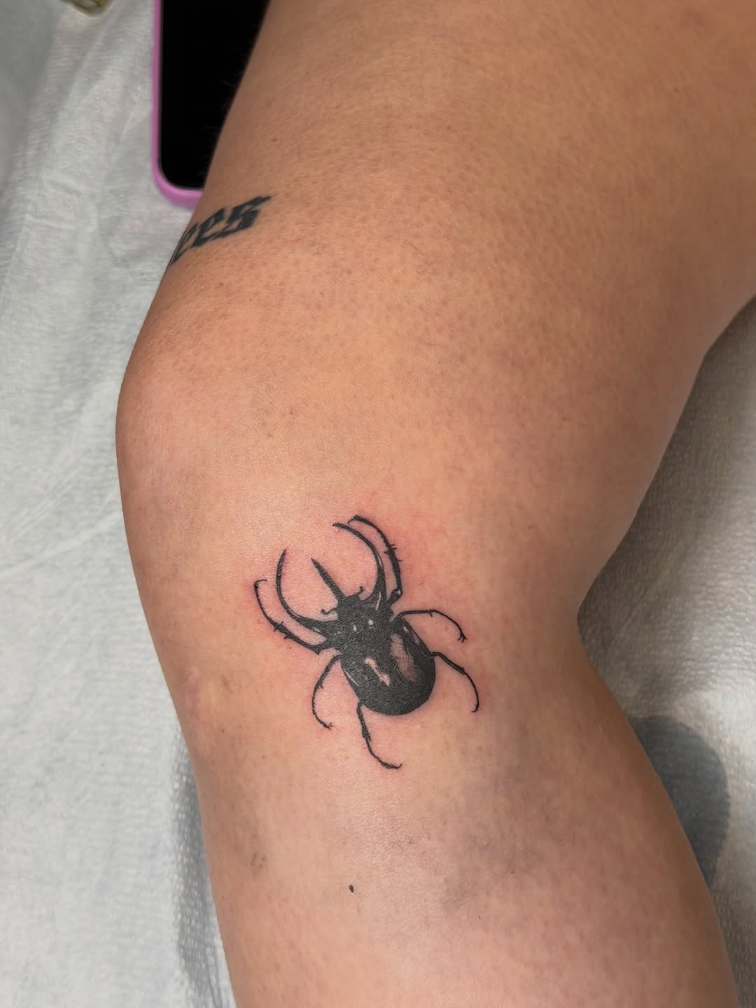 Beetle fine line tattoo on the thigh by Alaska