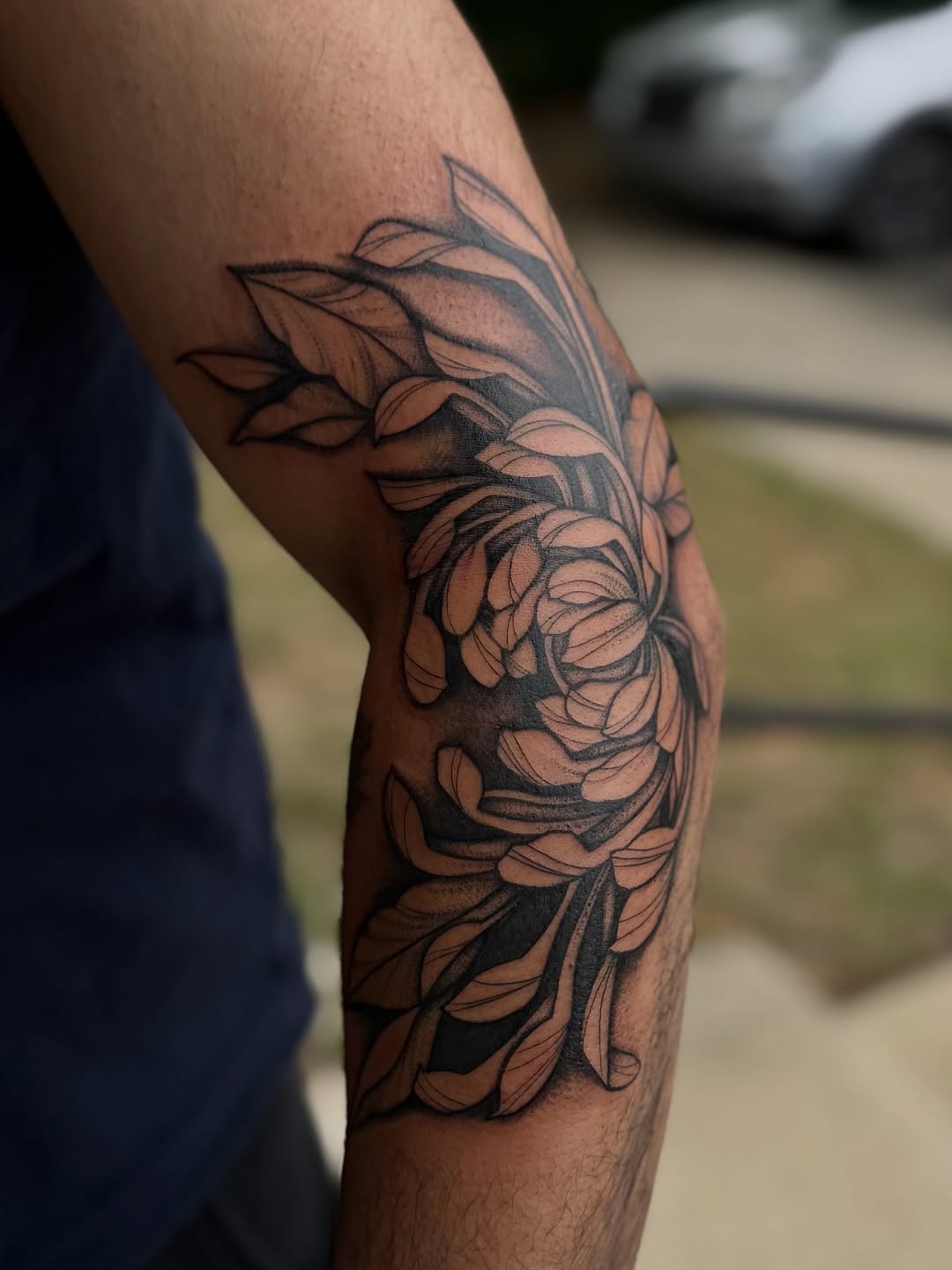 Chrysanthemum flower fine line tattoo on the forearm by Emily Velletta, Huntersville, North Carolina
