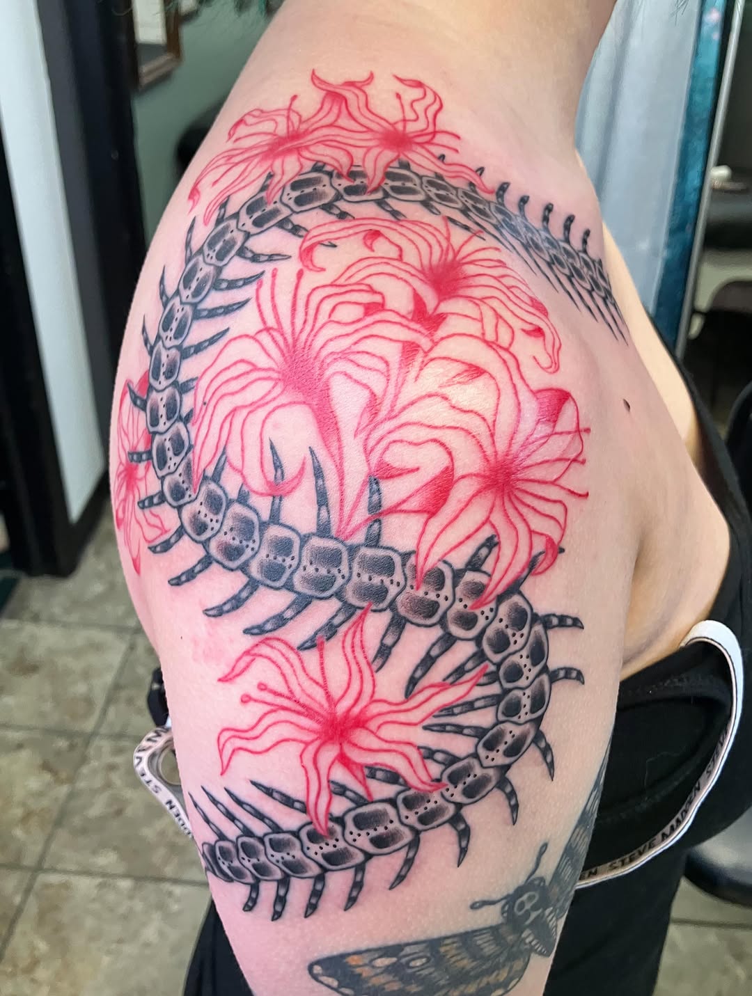 Centipede and flowers neo-traditional tattoo on the shoulder by maddie mcghee, Memphis, Tennessee