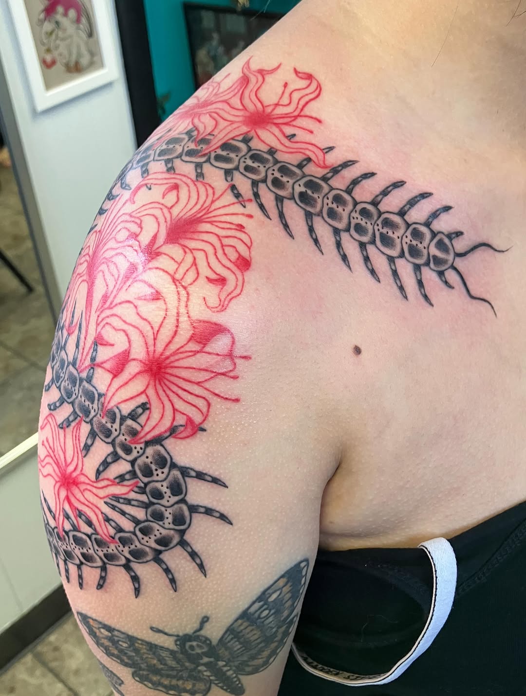Centipede and flowers neo-traditional tattoo on the shoulder by maddie mcghee, Memphis, Tennessee