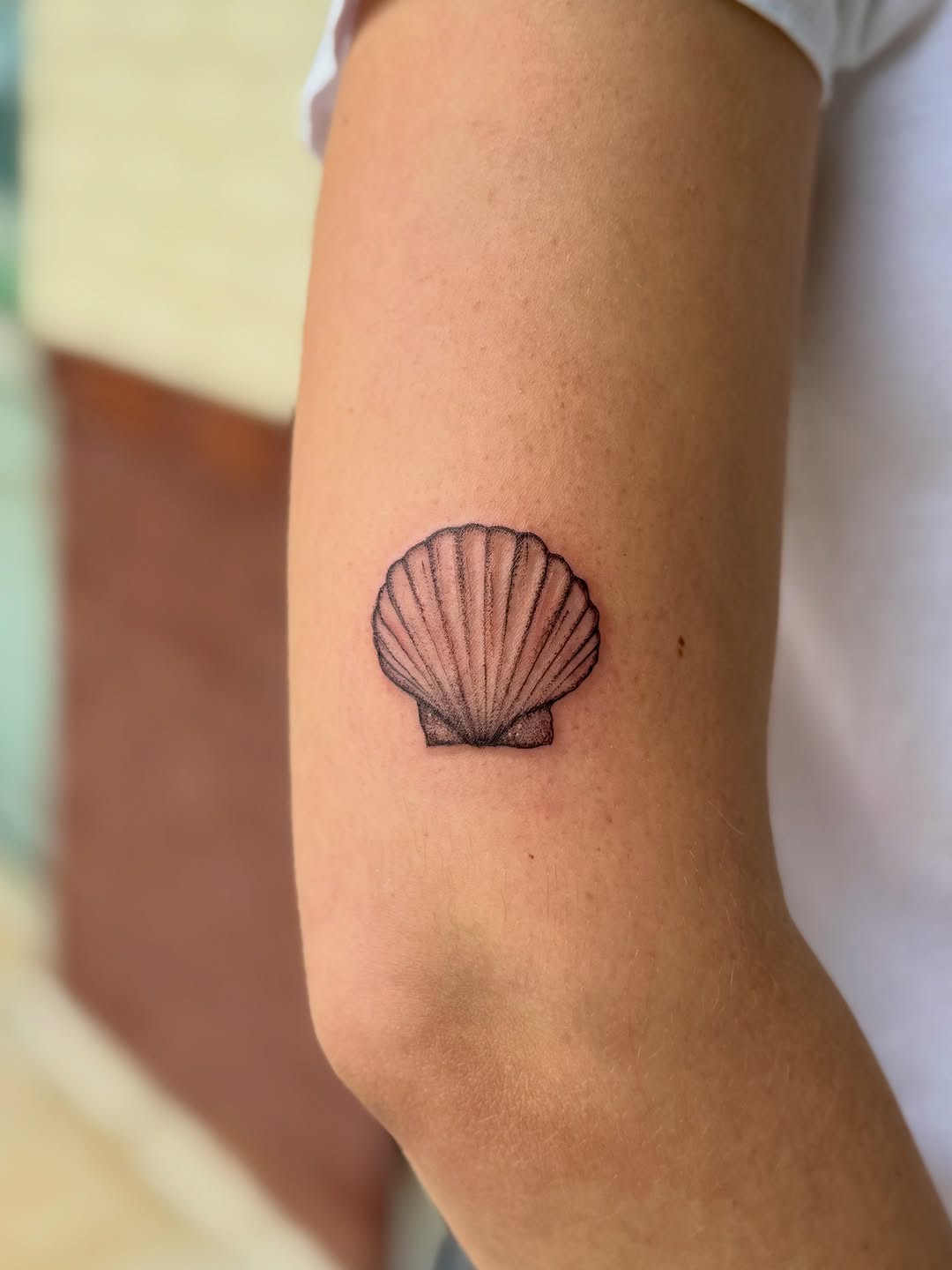 Scallop shell fine line tattoo on the forearm by Emily Velletta, Huntersville, North Carolina