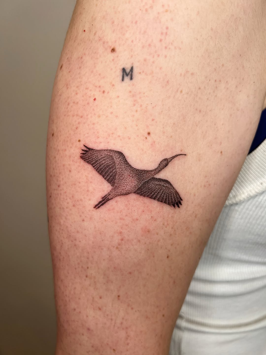 Tattoo by @thankyouforpoking — dotwork, black_and_grey