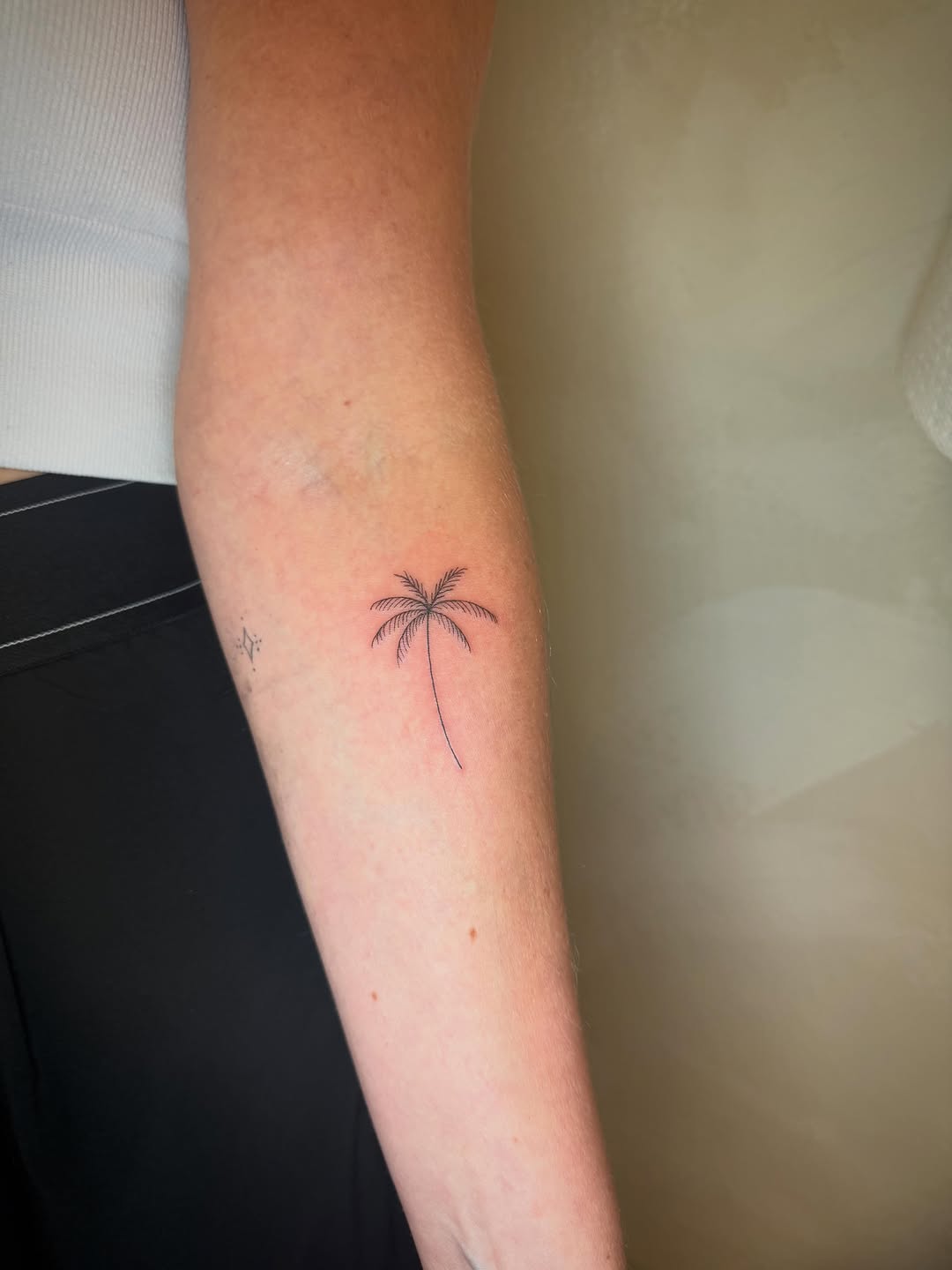 Palm tree fine line tattoo on the forearm by Danny Garcia