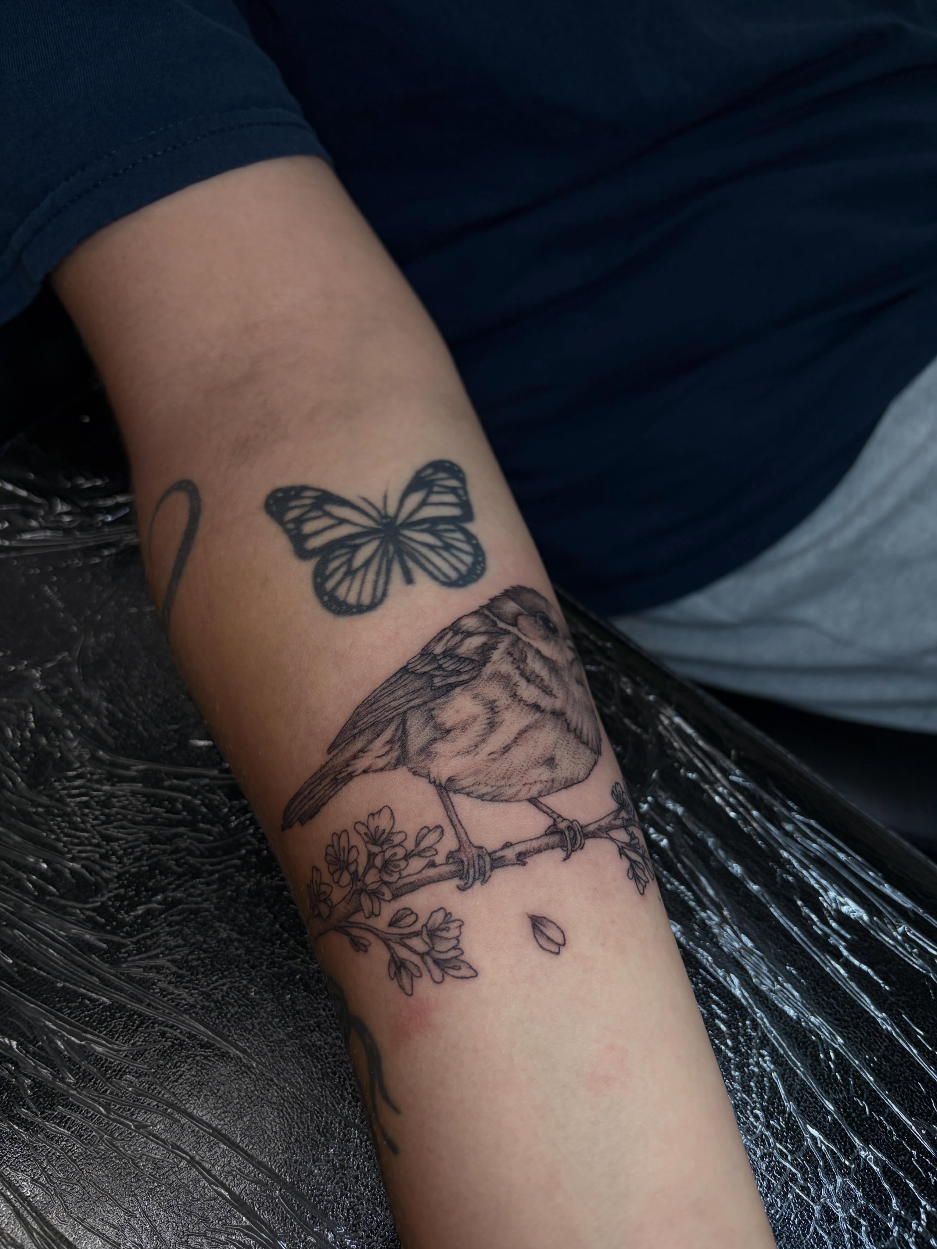 Bird and butterfly realism tattoo on the forearm by Cincinnati Tattoo Artist