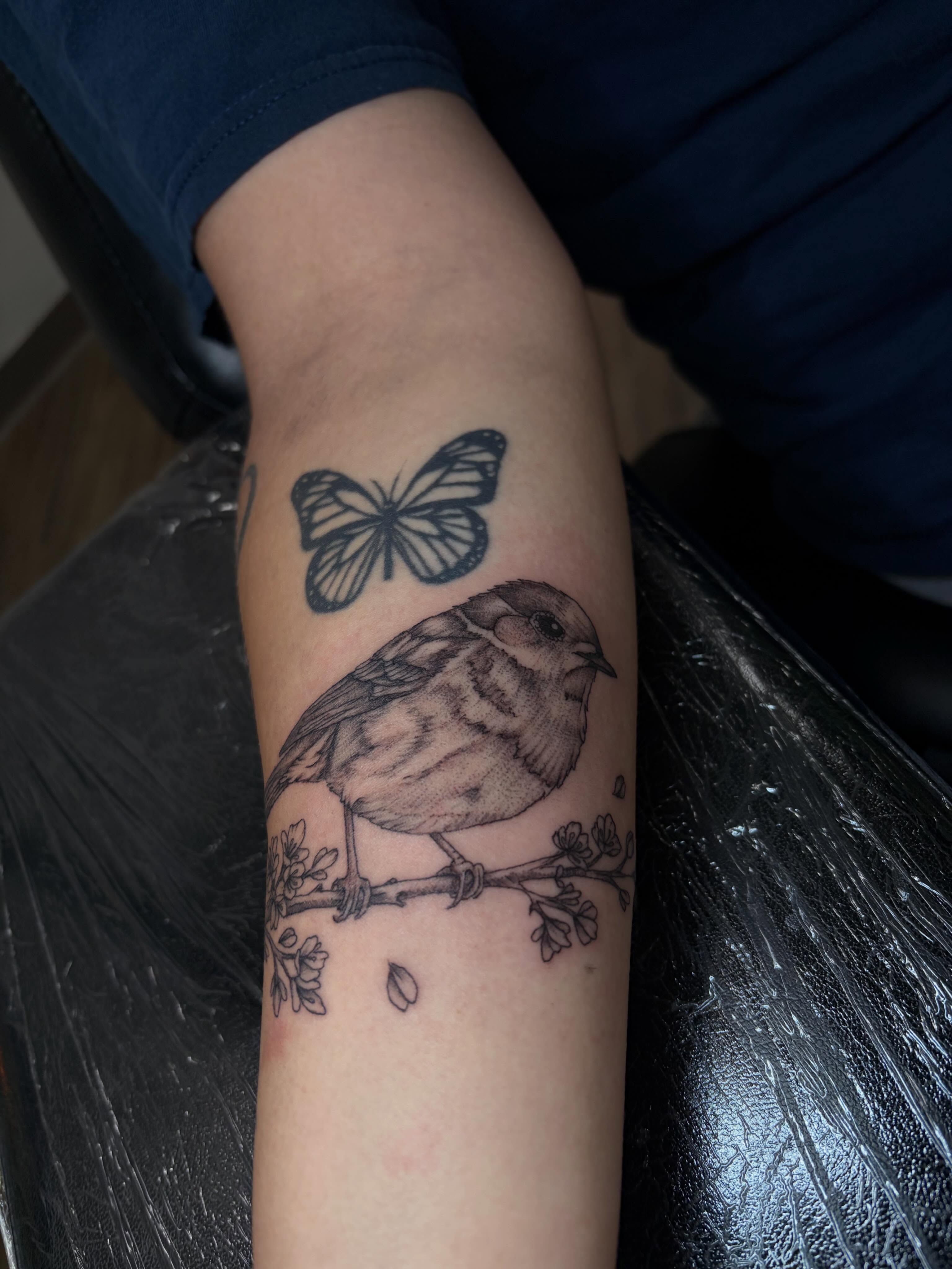 Bird and butterfly realism tattoo on the forearm by Cincinnati Tattoo Artist