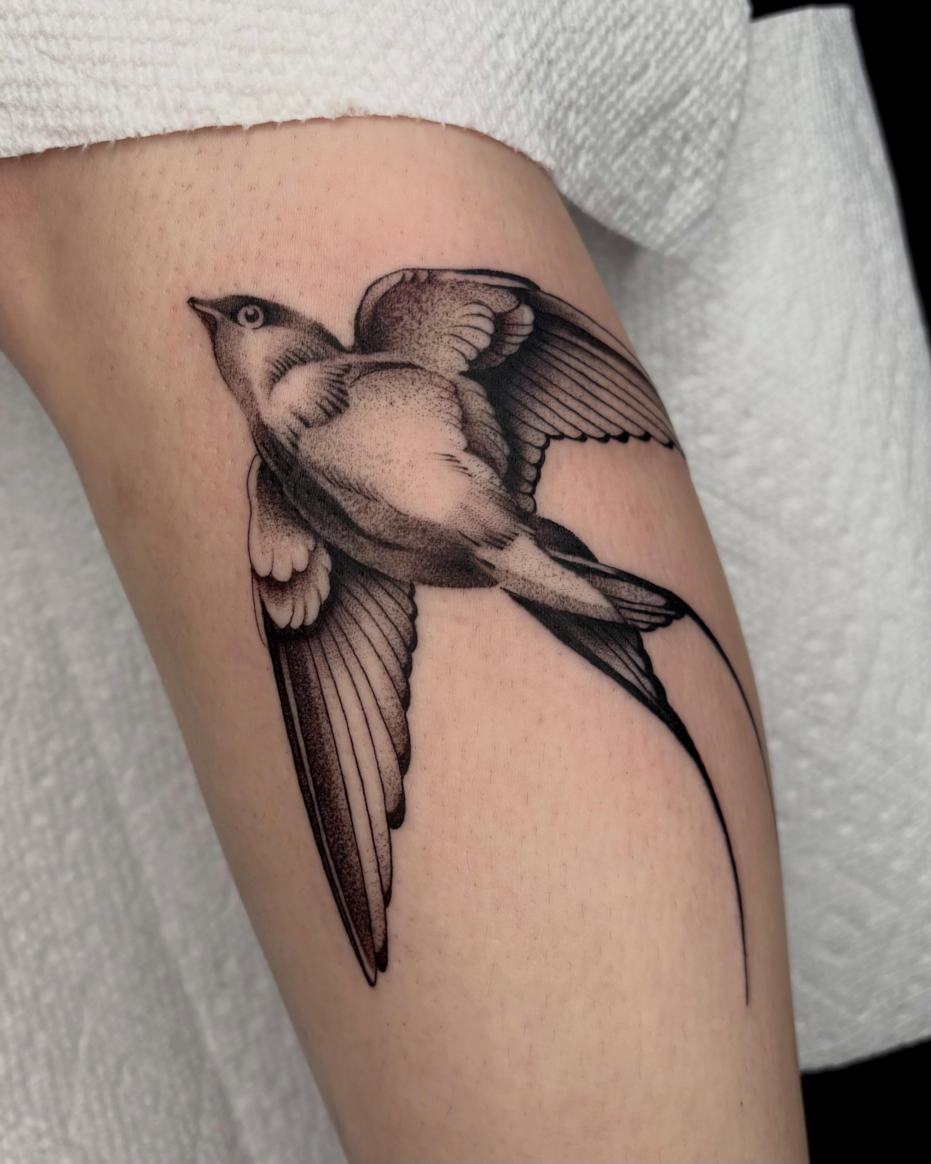 Swallow dotwork tattoo on the thigh by Avery Mullins
