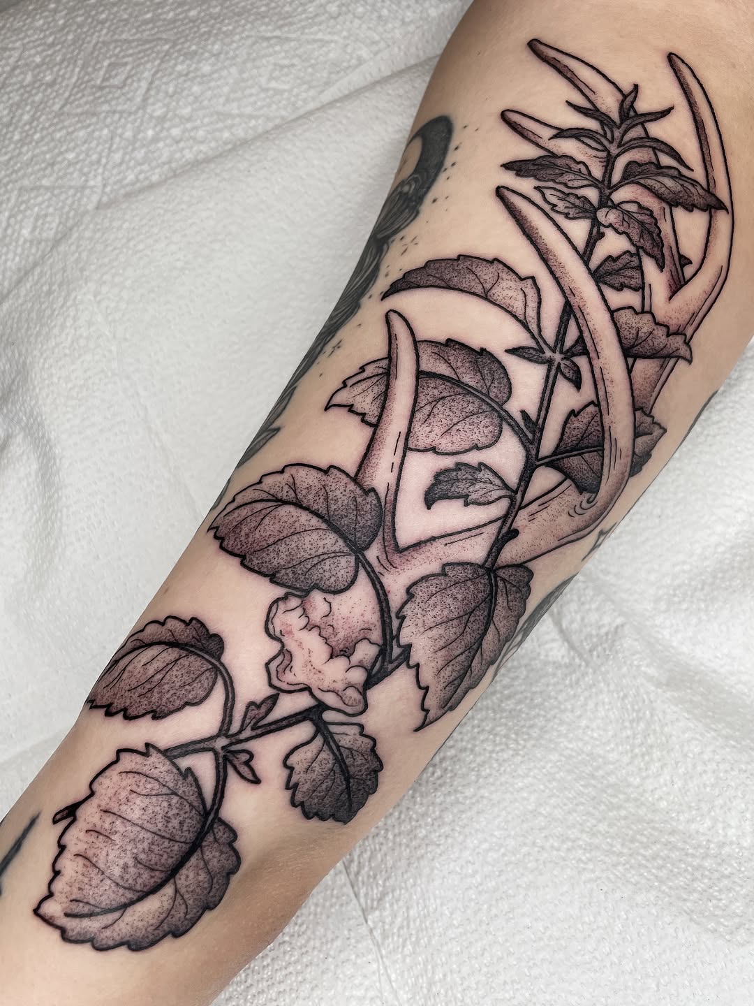 Tattoo by @emilyluxtattoos — black_and_grey, realism