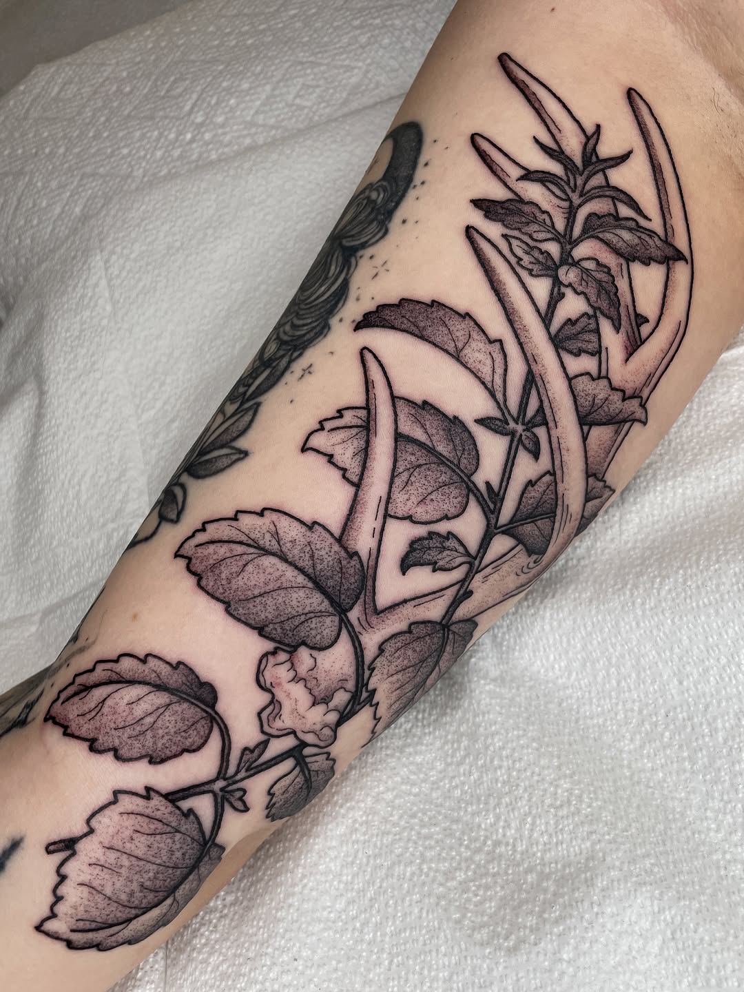 Tattoo by @emilyluxtattoos — black_and_grey, realism