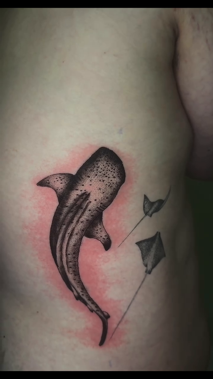 Whale shark and stingrays fine line tattoo on the upper arm by InkedByJide Tattoo, Atlanta, Georgia